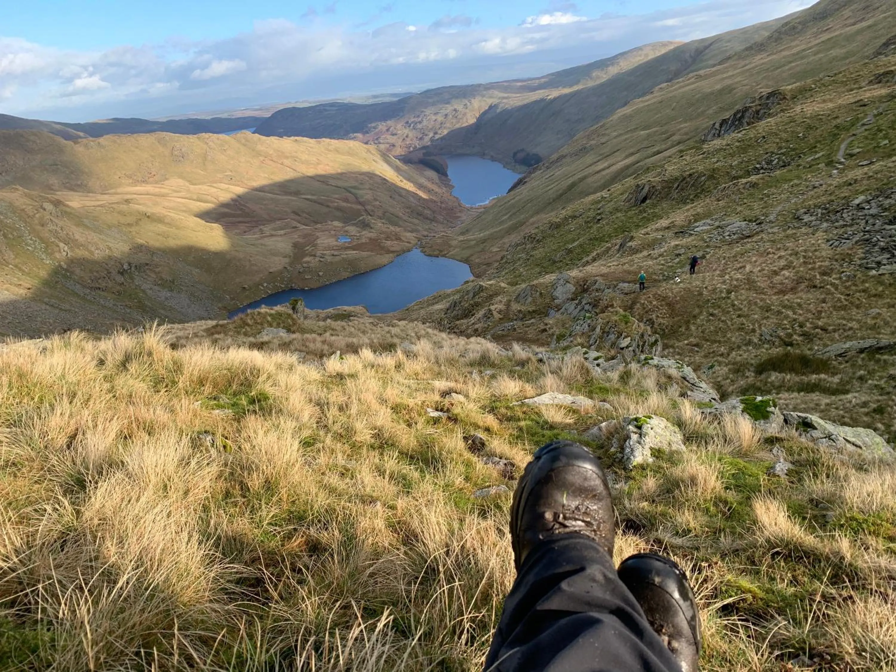 Natural landscape in Rosie's Barn