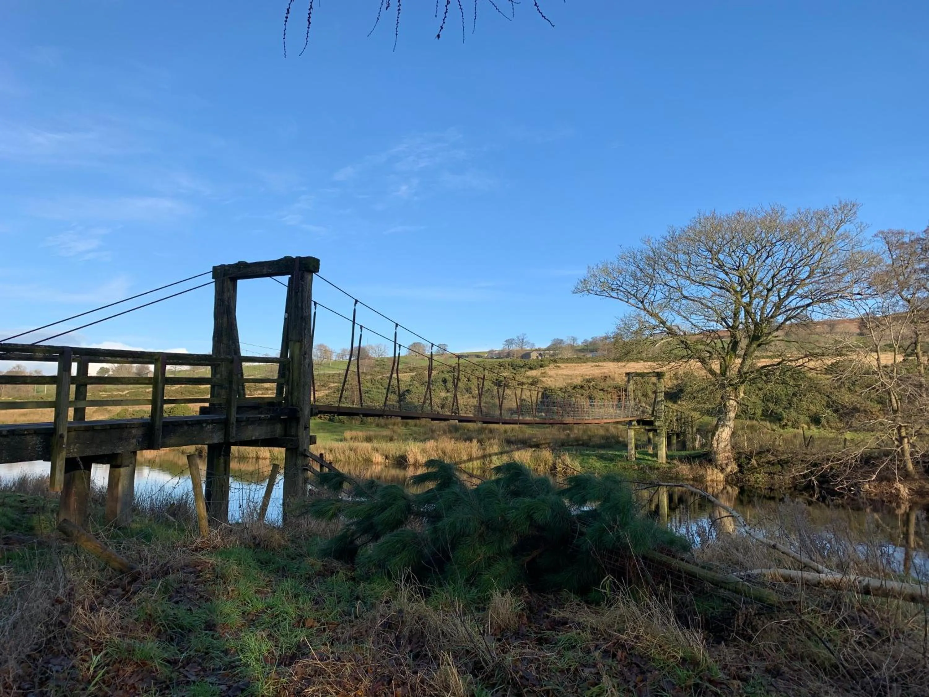 Natural landscape in Rosie's Barn