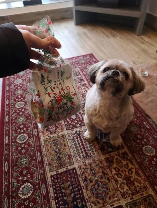 Pets in Rosie's Barn