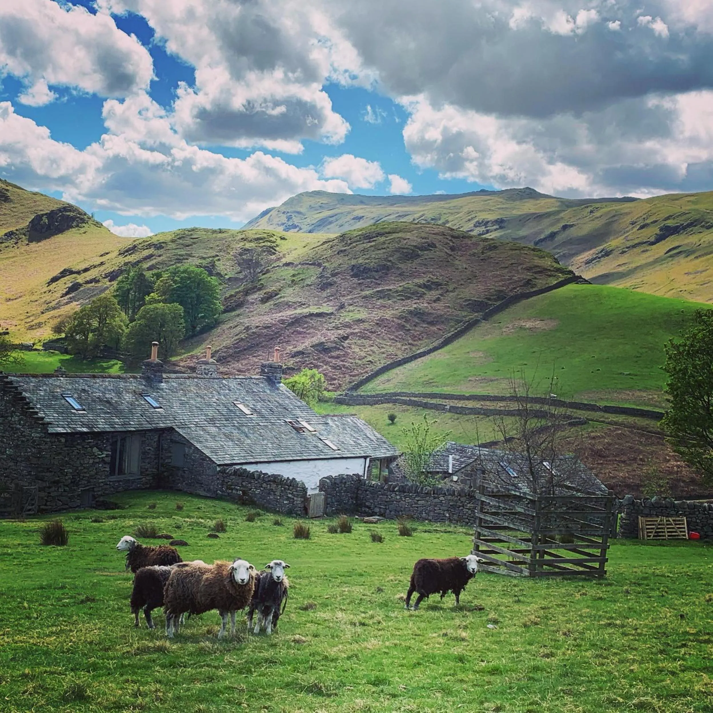 Natural landscape in Rosie's Barn