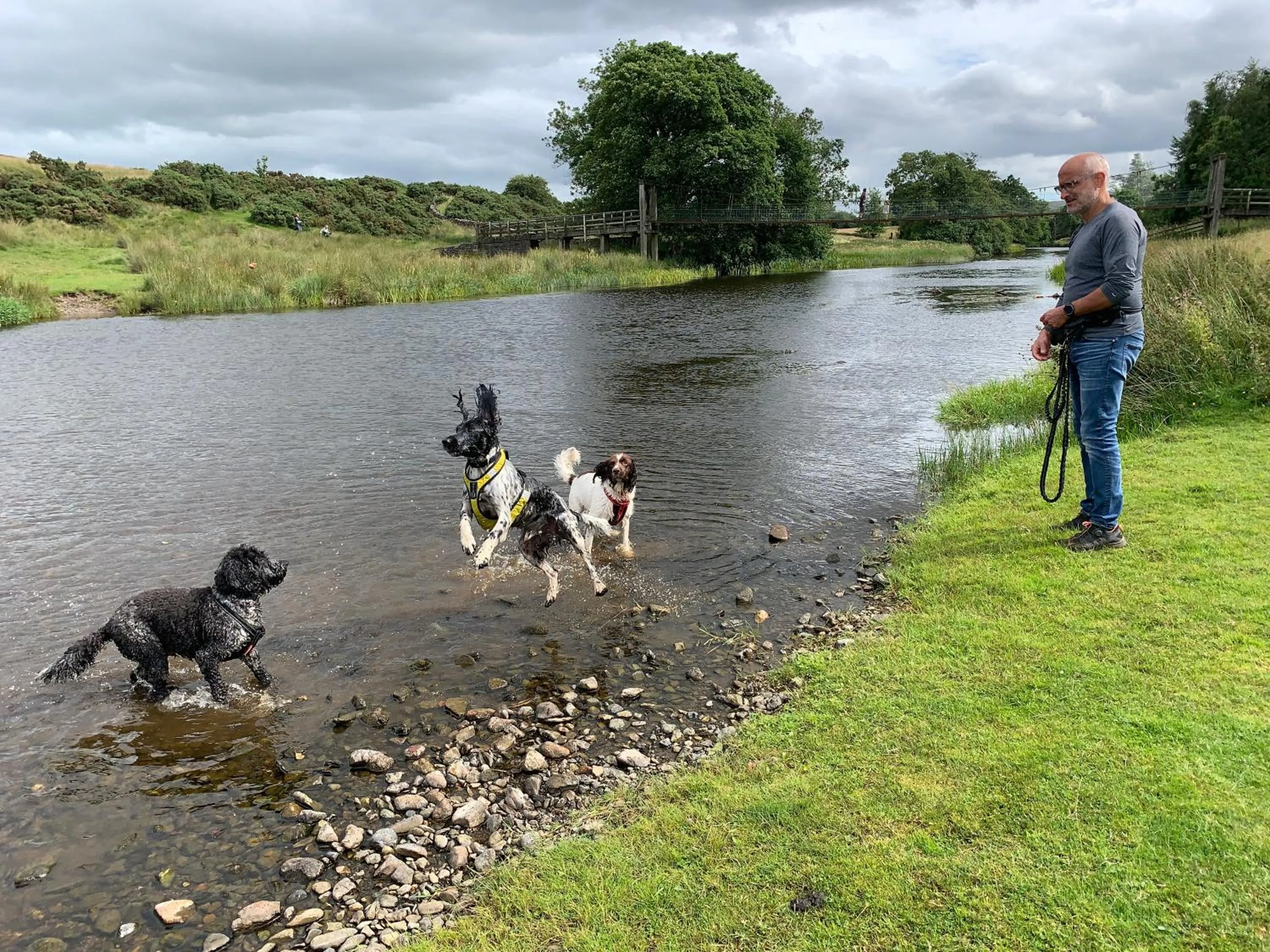 Natural landscape in Rosie's Barn