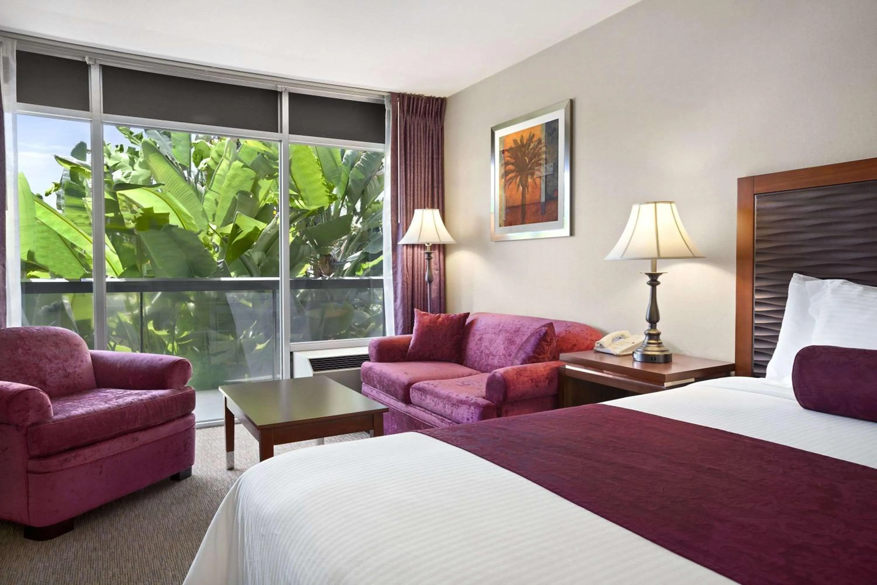 Photo of the whole room, Bed in Ramada by Wyndham Sunnyvale/Silicon Valley