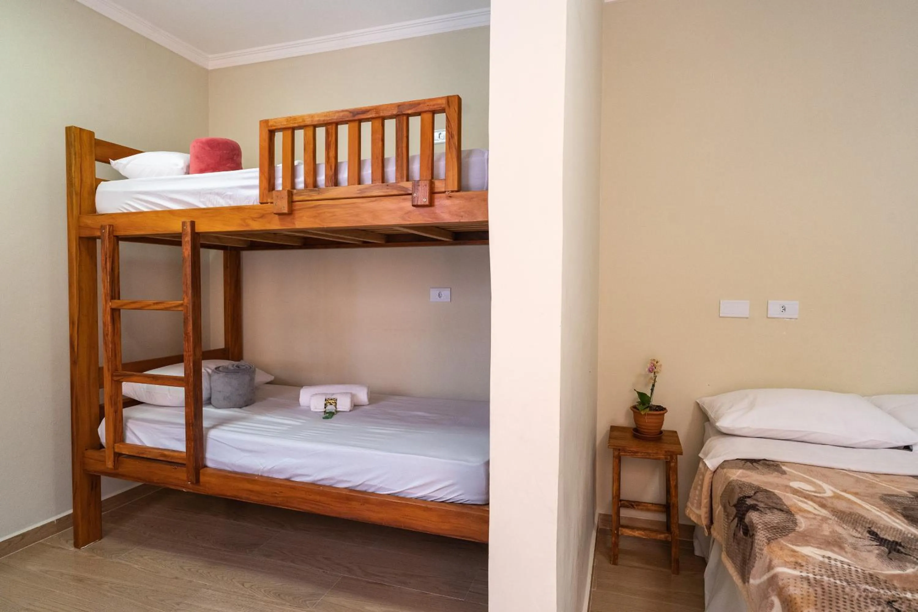 Bed in Hostel B2B SP
