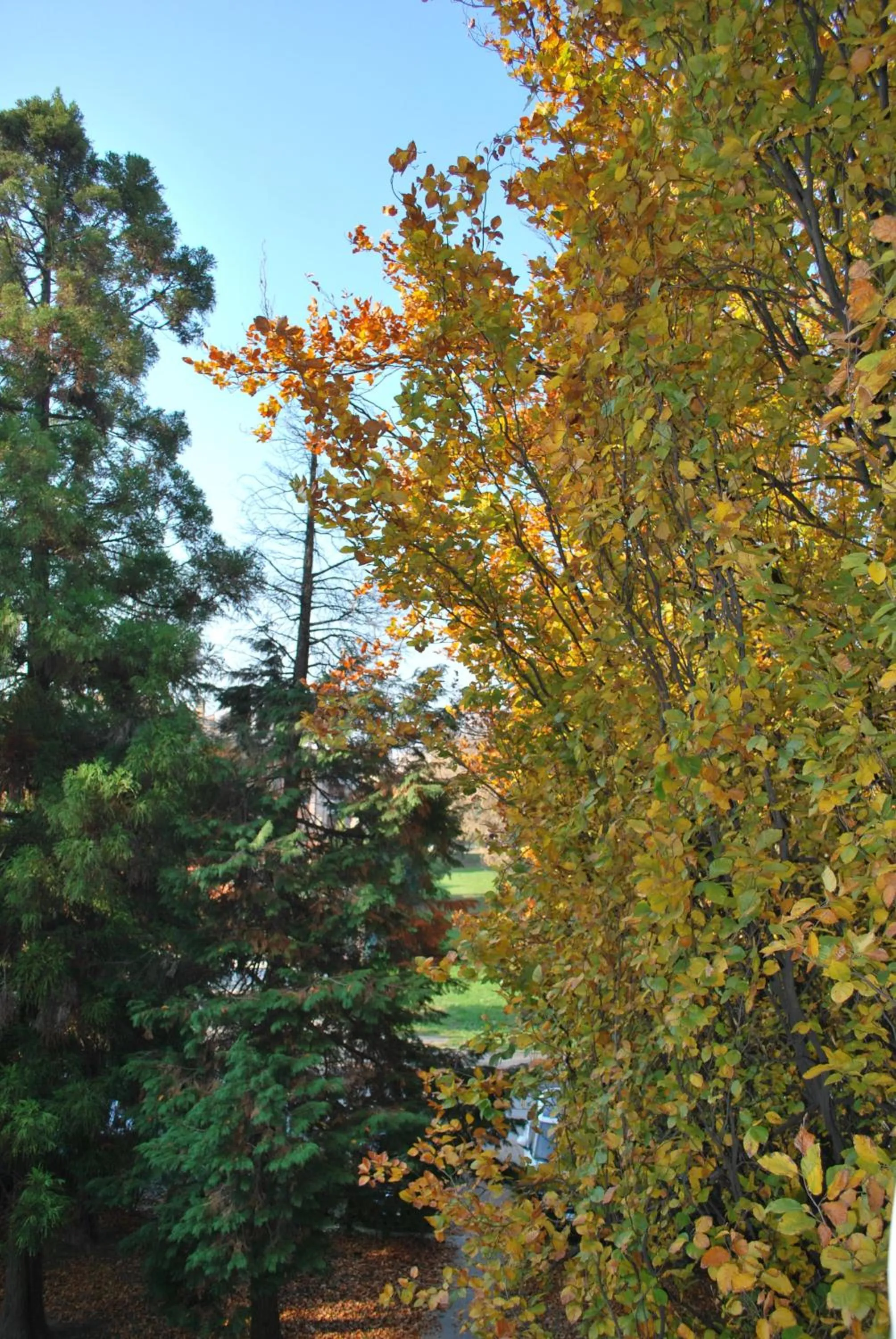 Bed and Breakfast Bio Salix