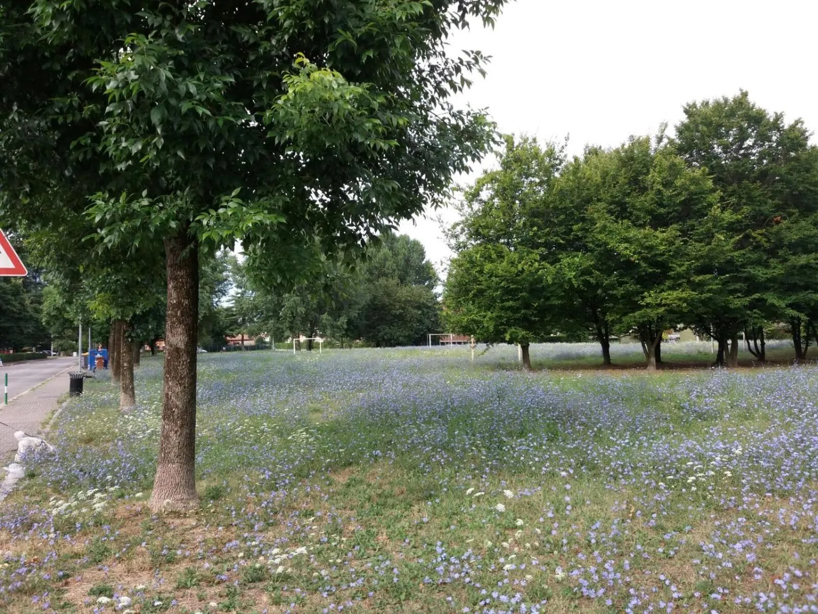 Bed and Breakfast Bio Salix