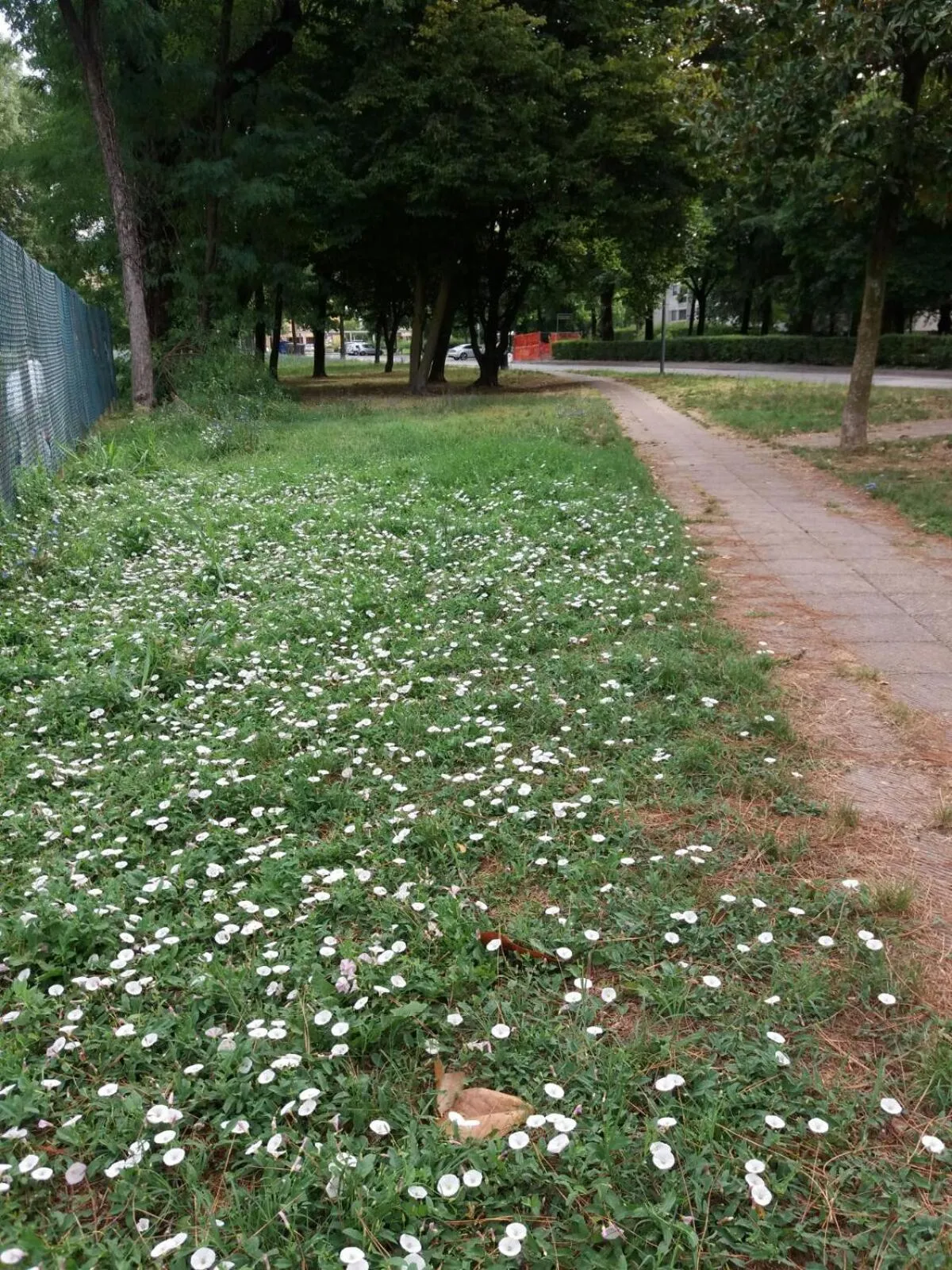 Bed and Breakfast Bio Salix