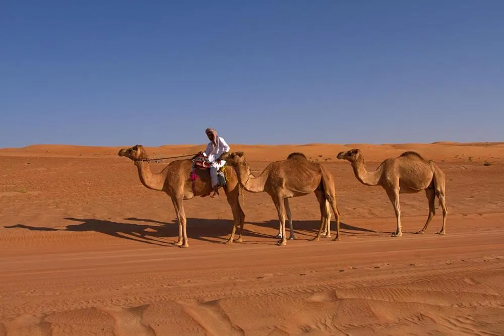 Staff in Desert Retreat Camp