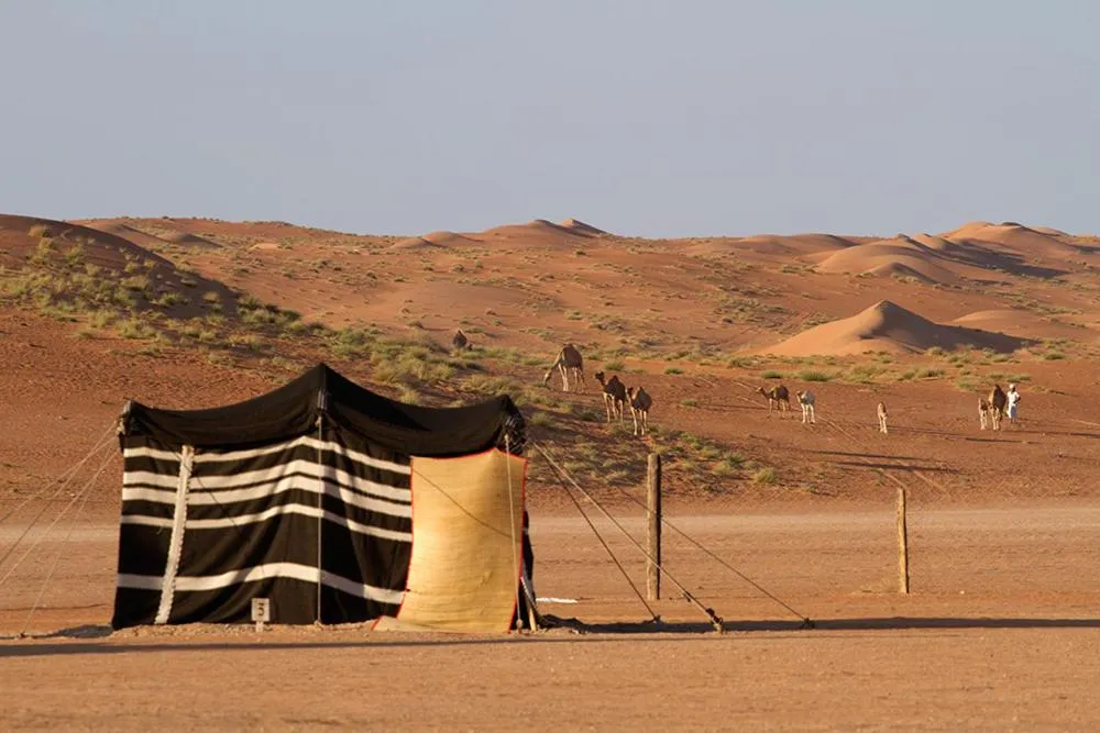 Area and facilities in Desert Retreat Camp