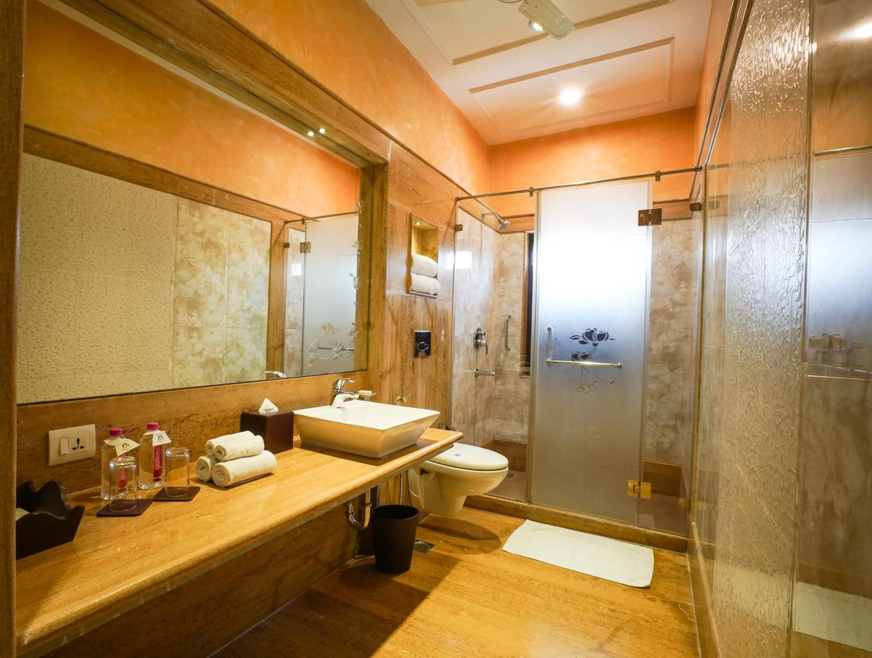 Bathroom in Shahpura House