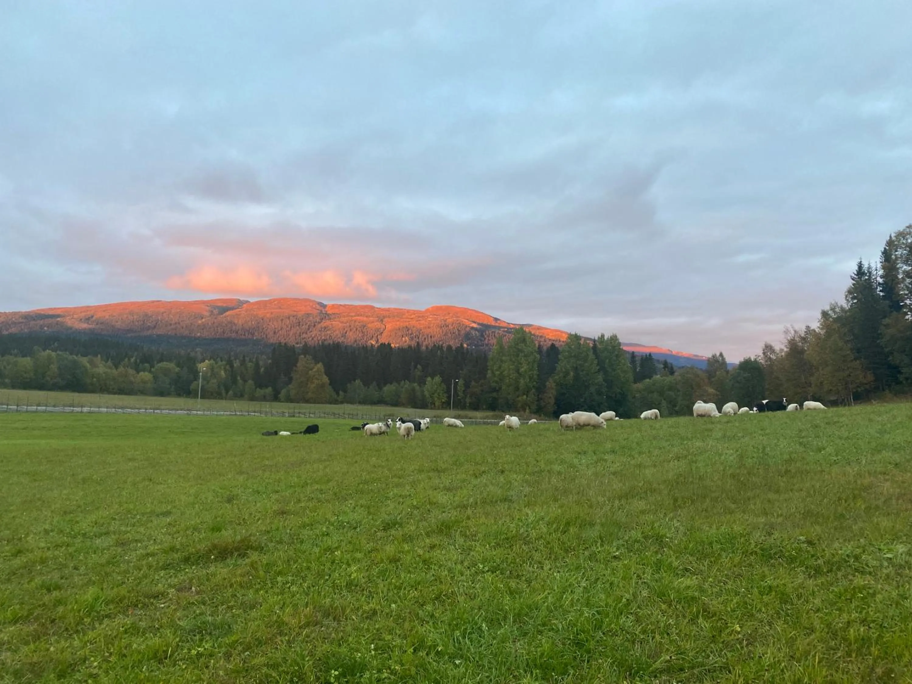 View (from property/room) in Millestgården Eco lodge