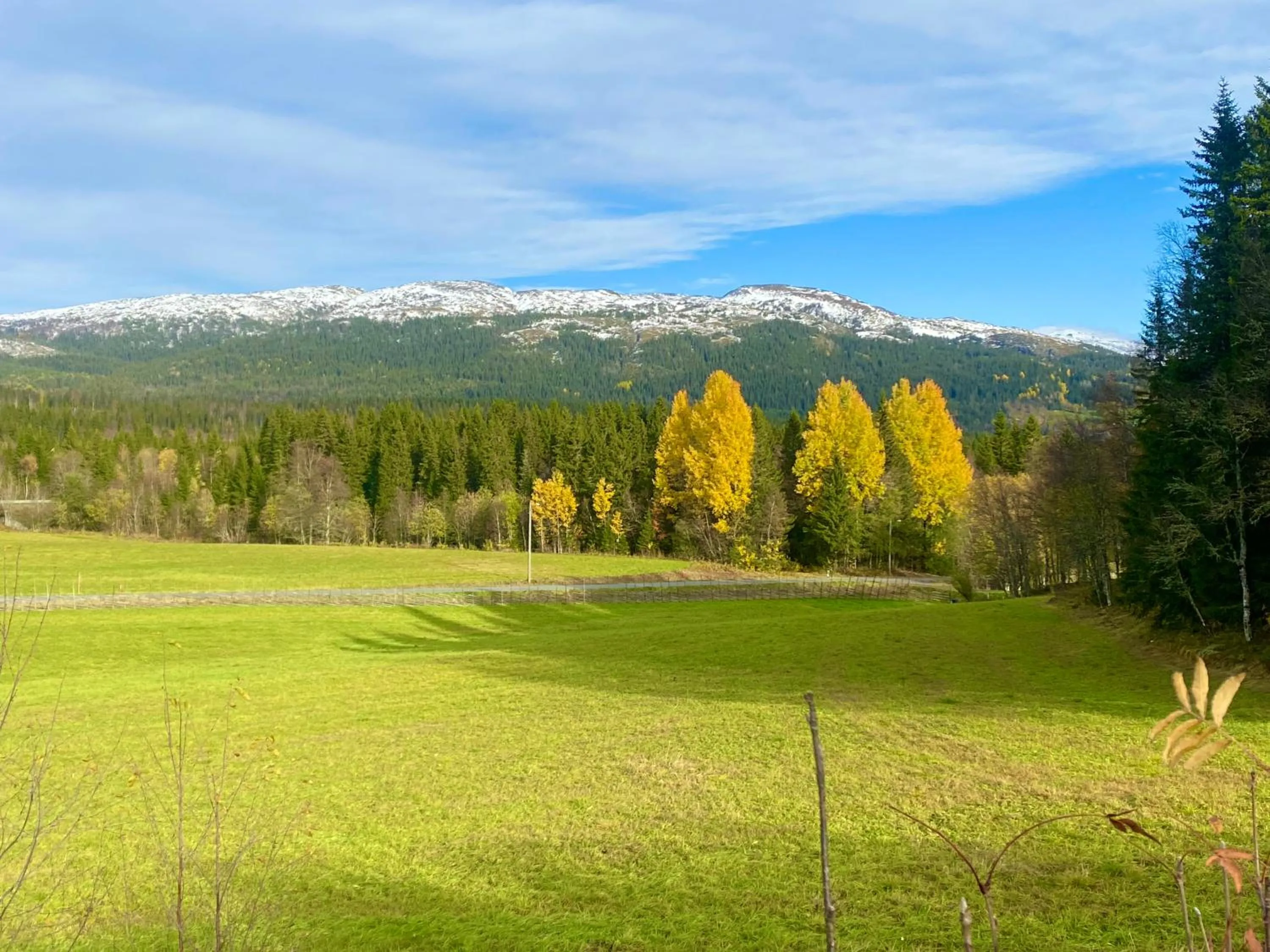 View (from property/room) in Millestgården Eco lodge