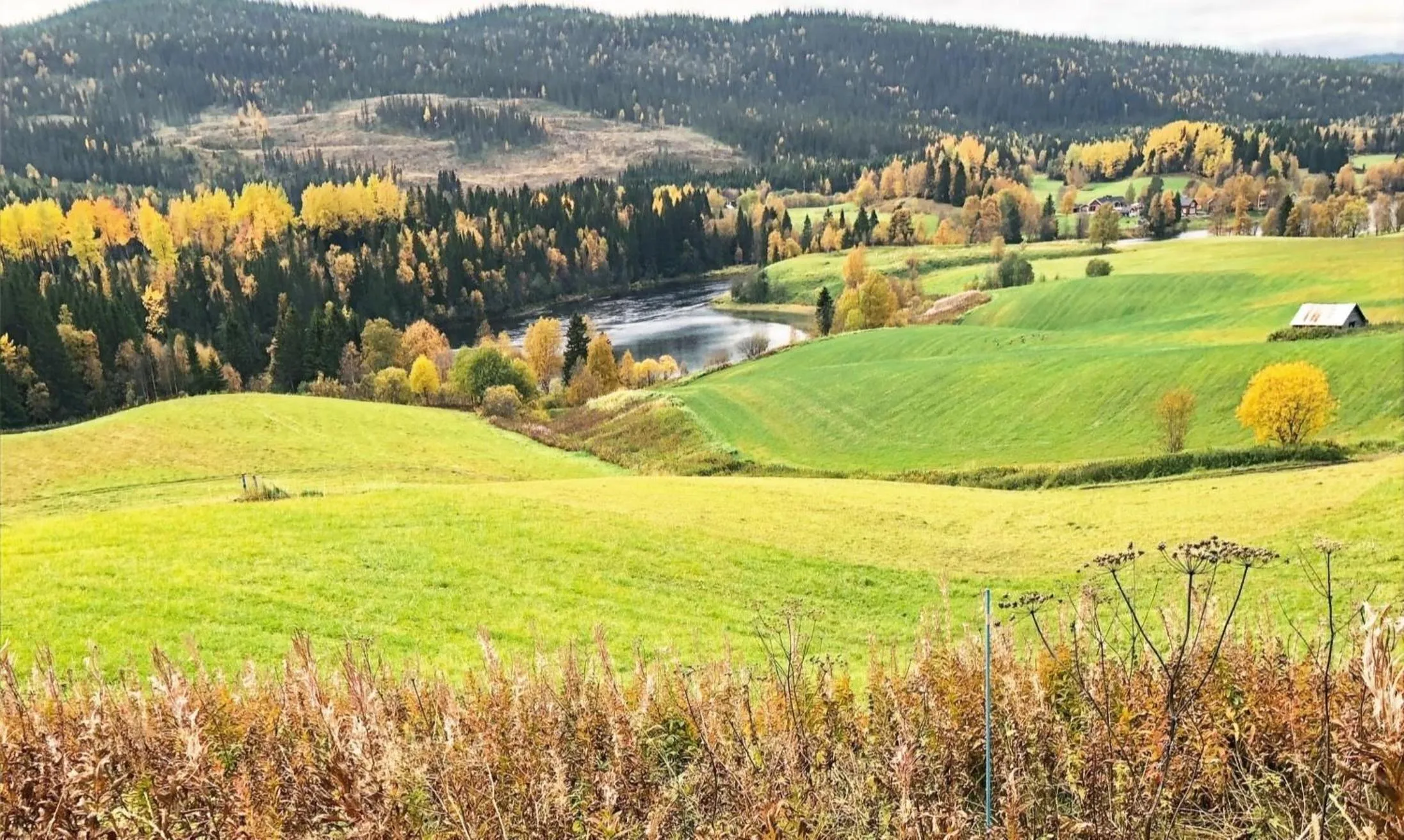 View (from property/room) in Millestgården Eco lodge