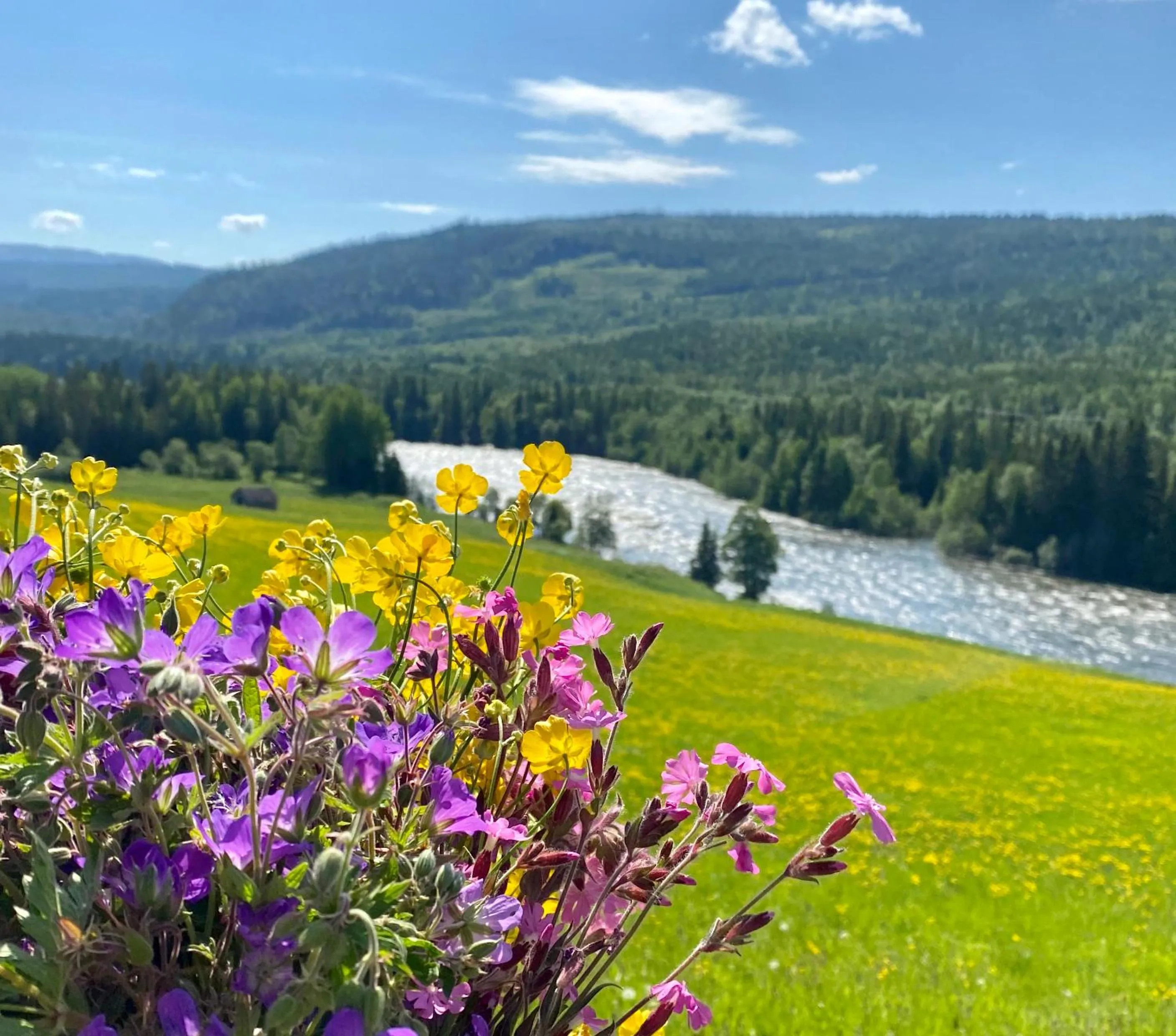 Fishing in Millestgården Eco lodge