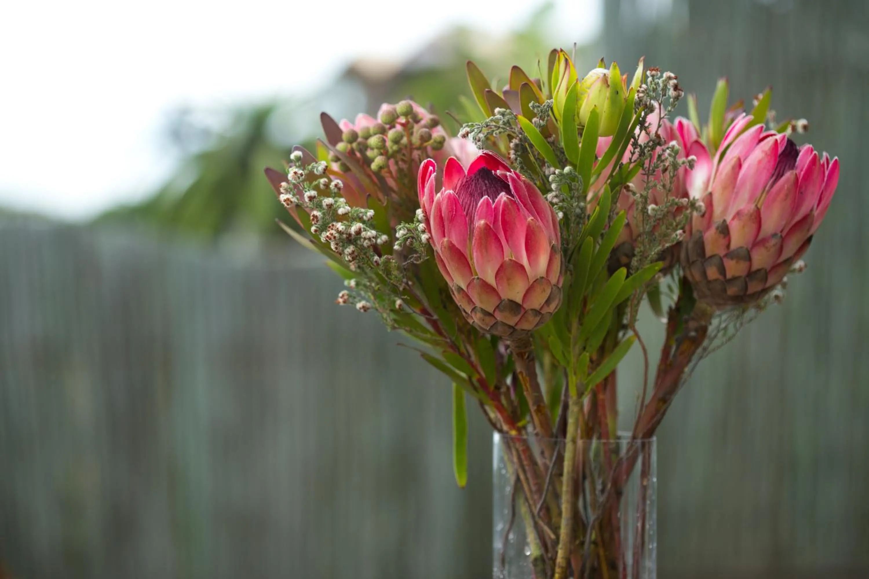 Decorative detail in African Perfection 1
