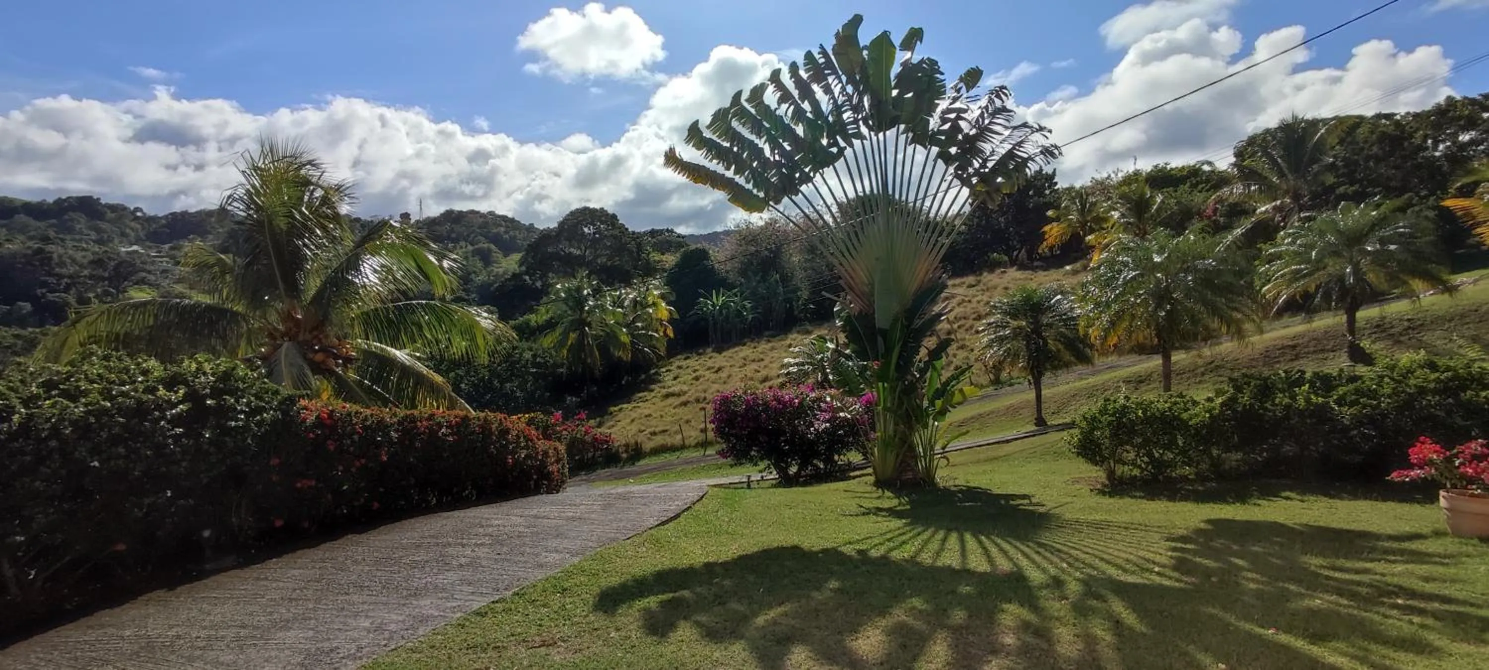 Spring in Le Voyageur