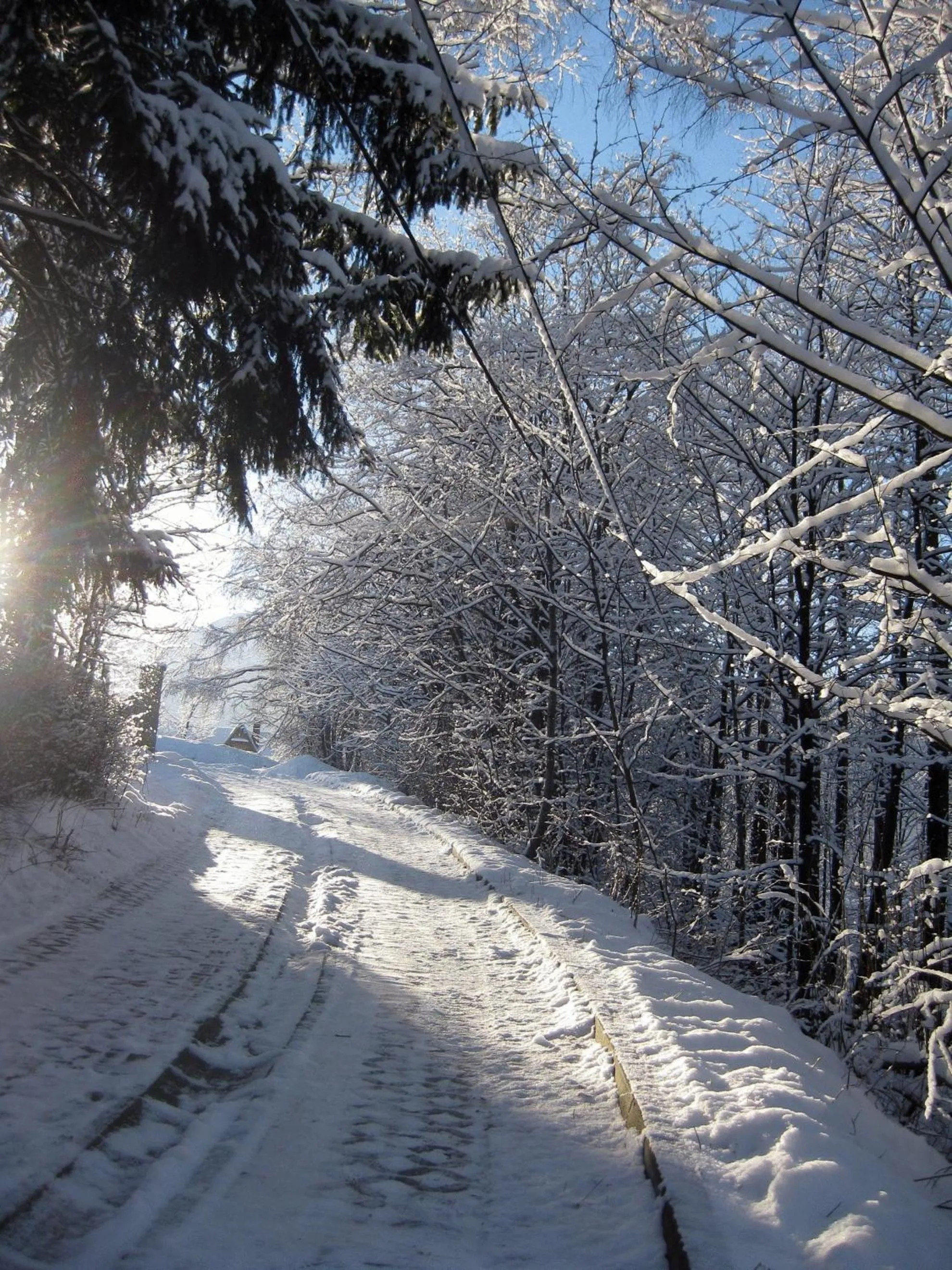 Natural landscape in Apolonia Willa