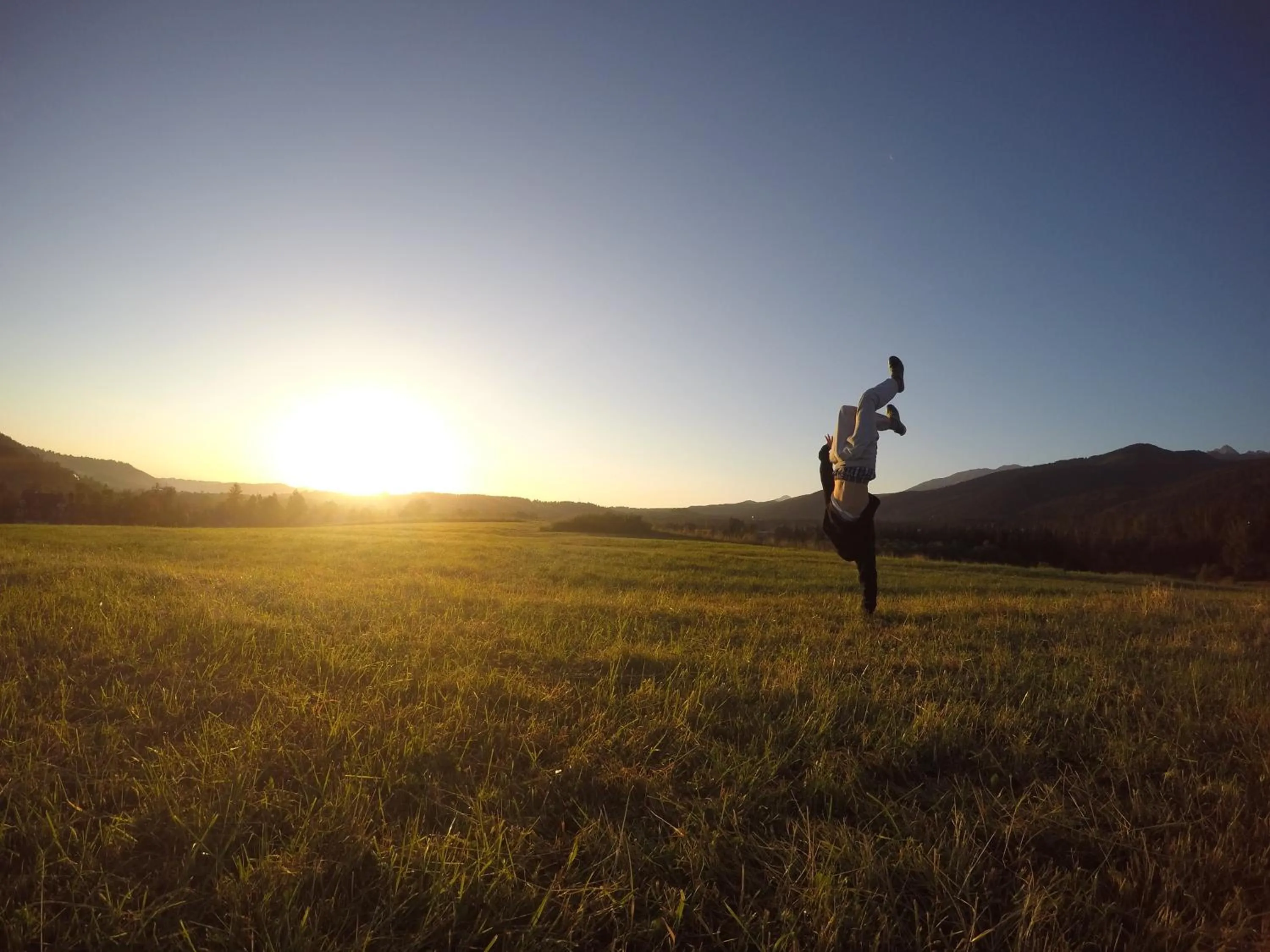 Garden in Apolonia Willa