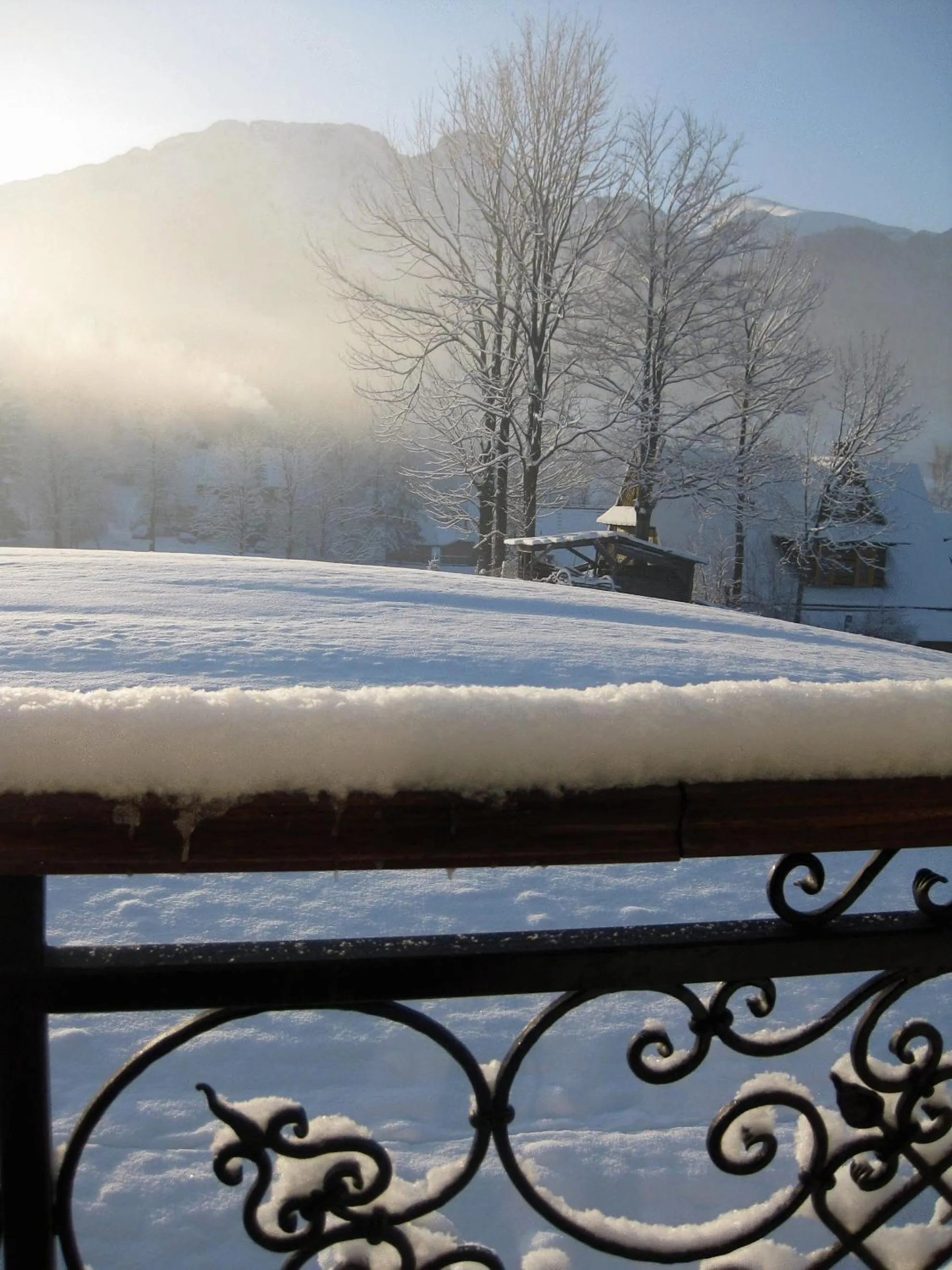 Winter in Apolonia Willa