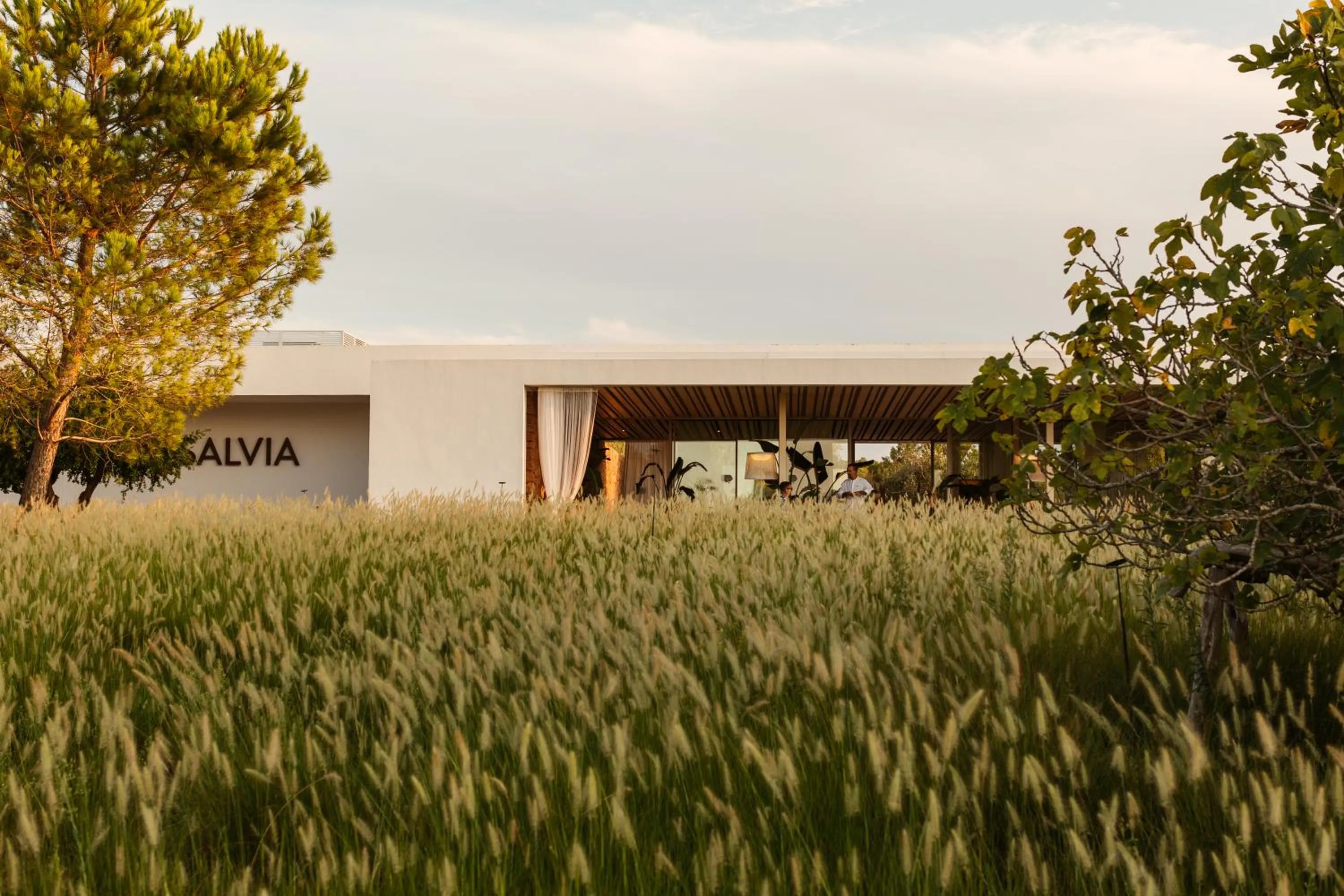 Natural landscape in Ca Na Xica - Hotel & Spa