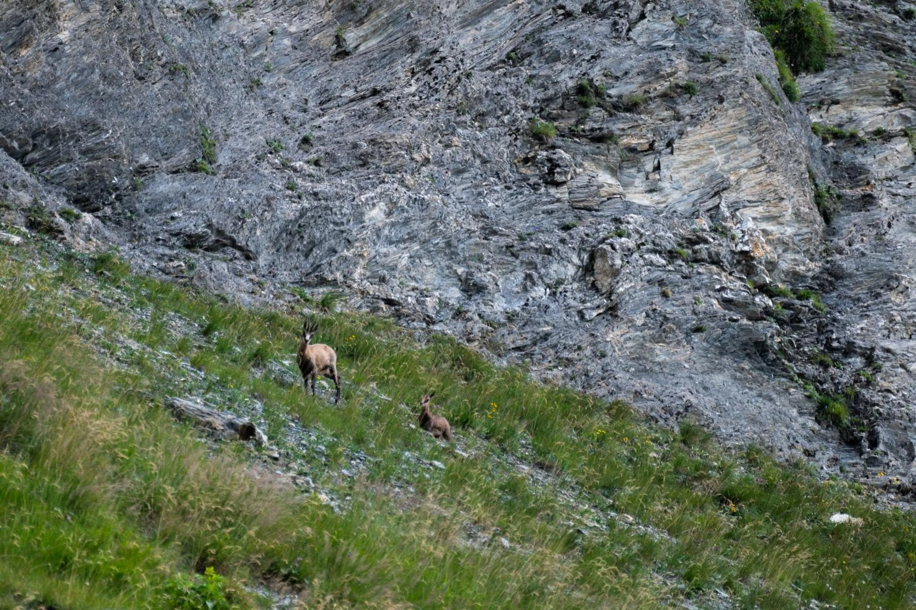 Activities in Hotel Gratz Großarl
