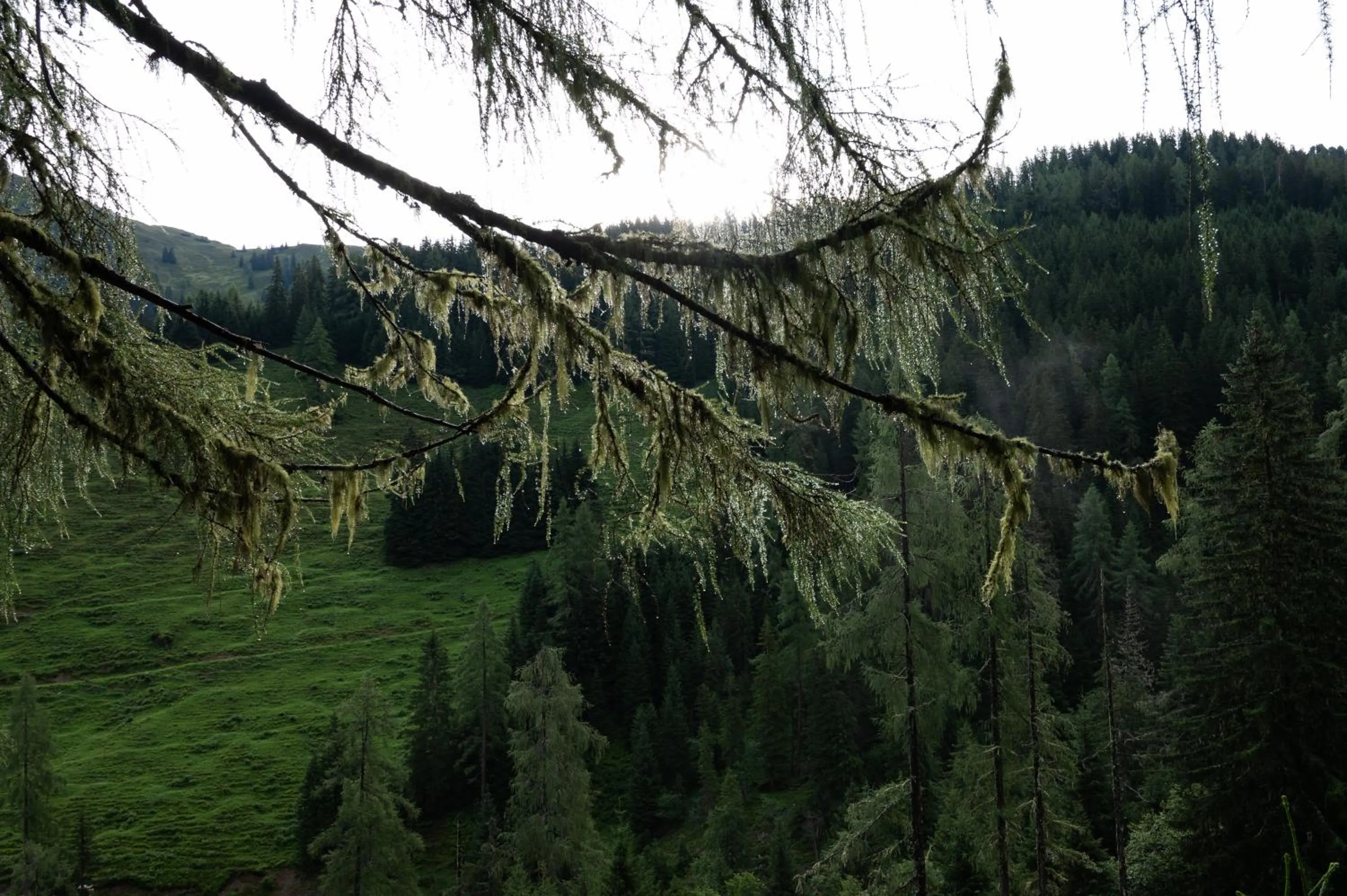 Activities in Hotel Gratz Großarl