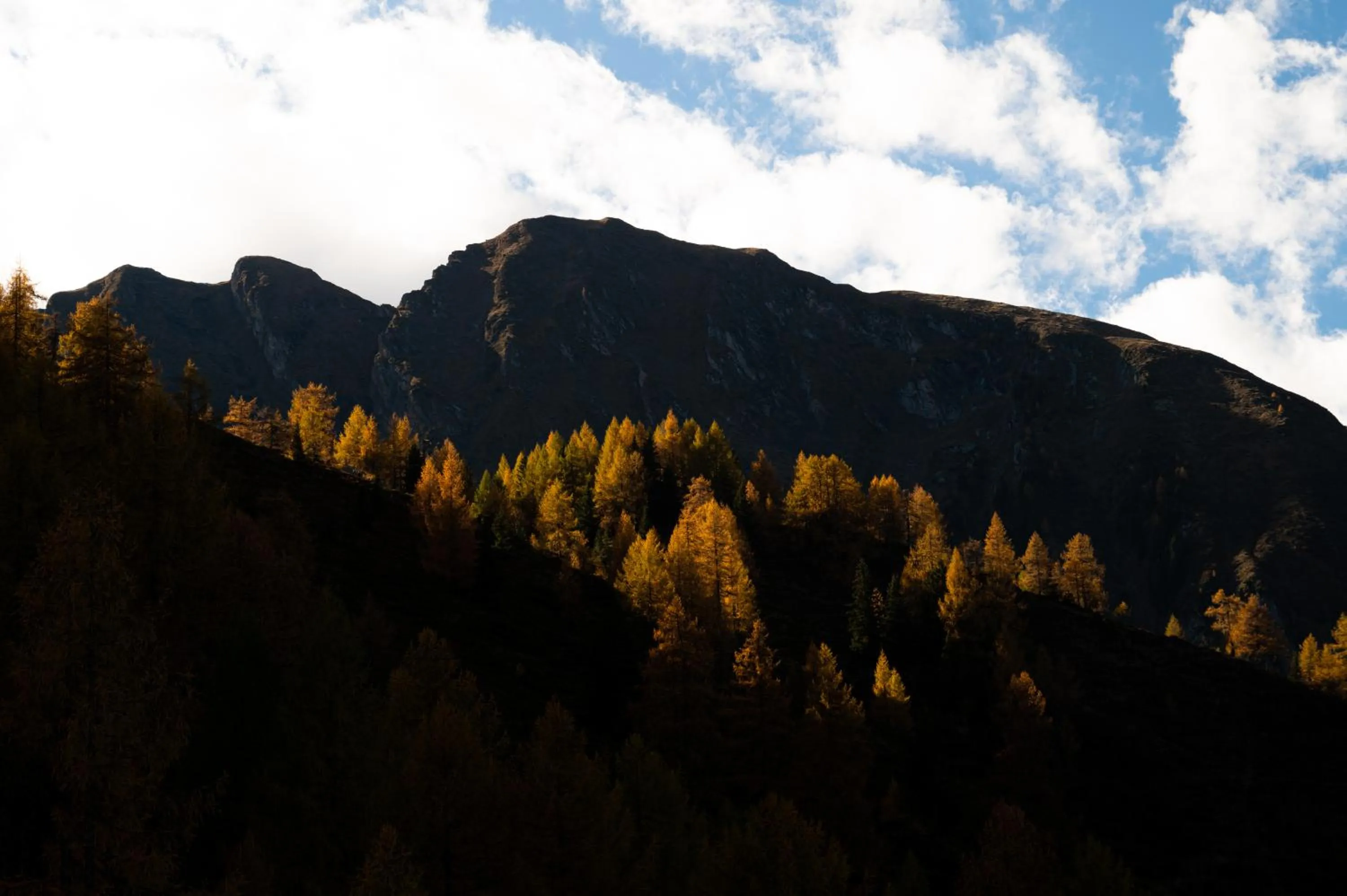 Activities in Hotel Gratz Großarl