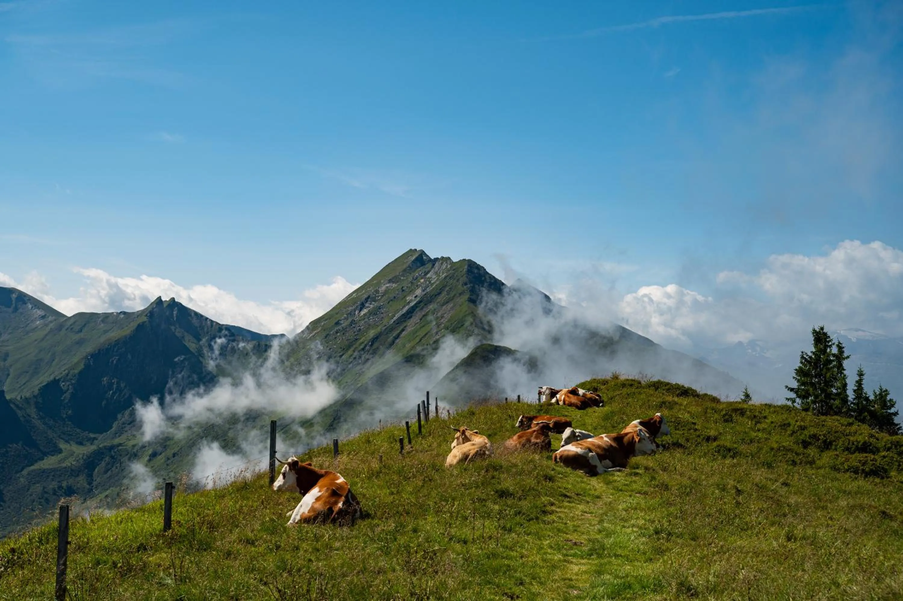 Activities in Hotel Gratz Großarl
