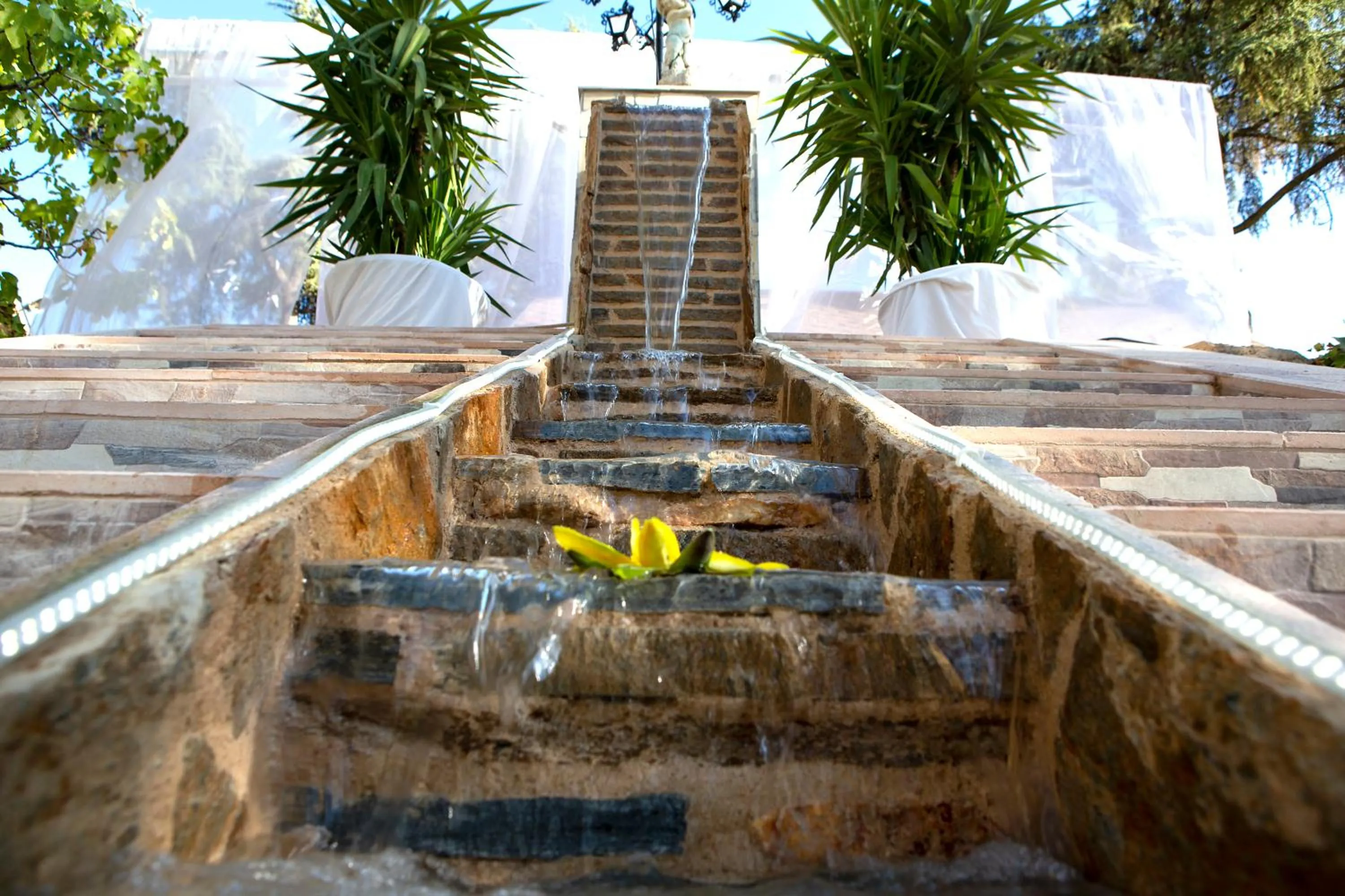 Garden in Hotel Torres I