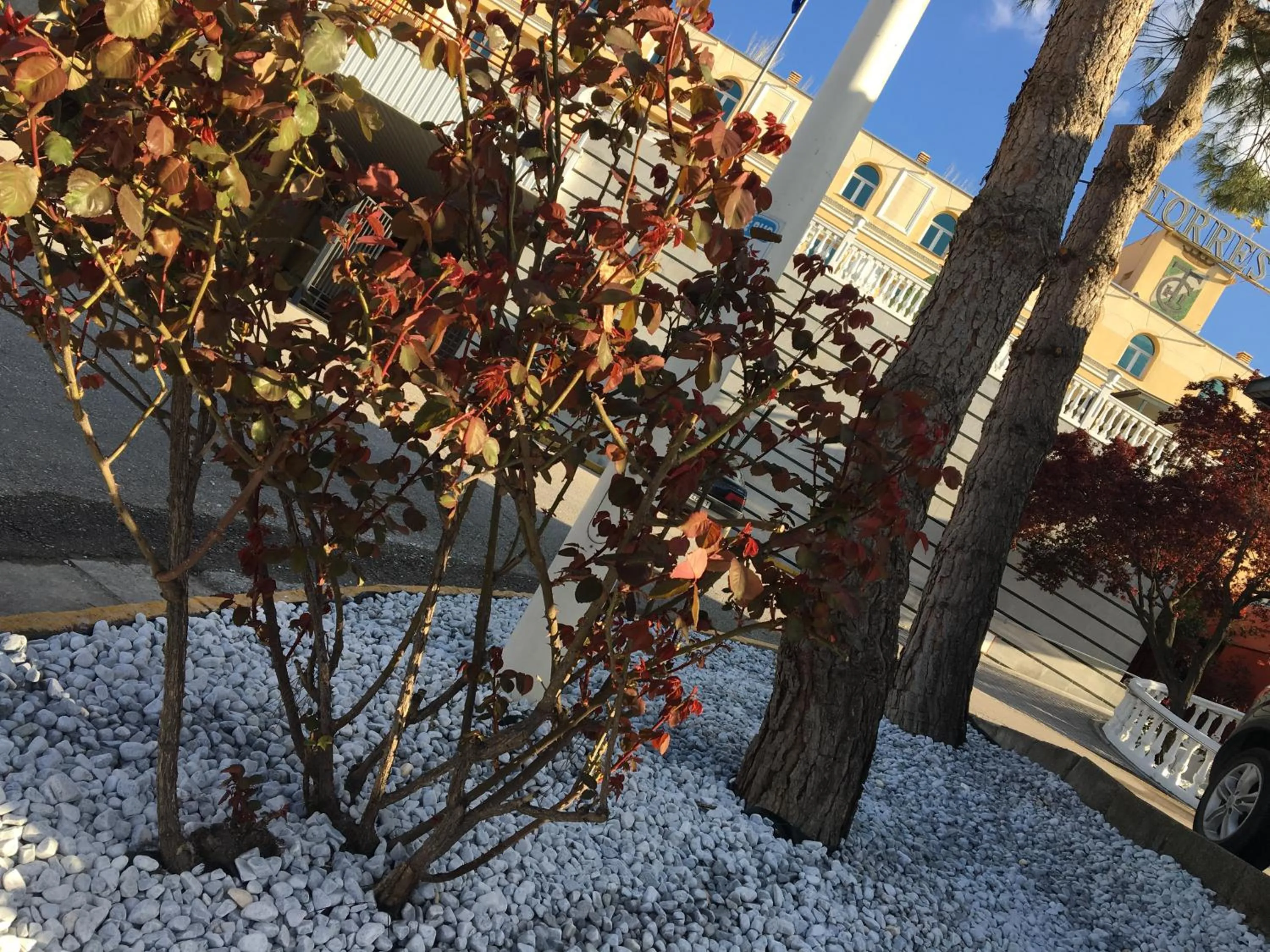 Facade/entrance in Hotel Torres I