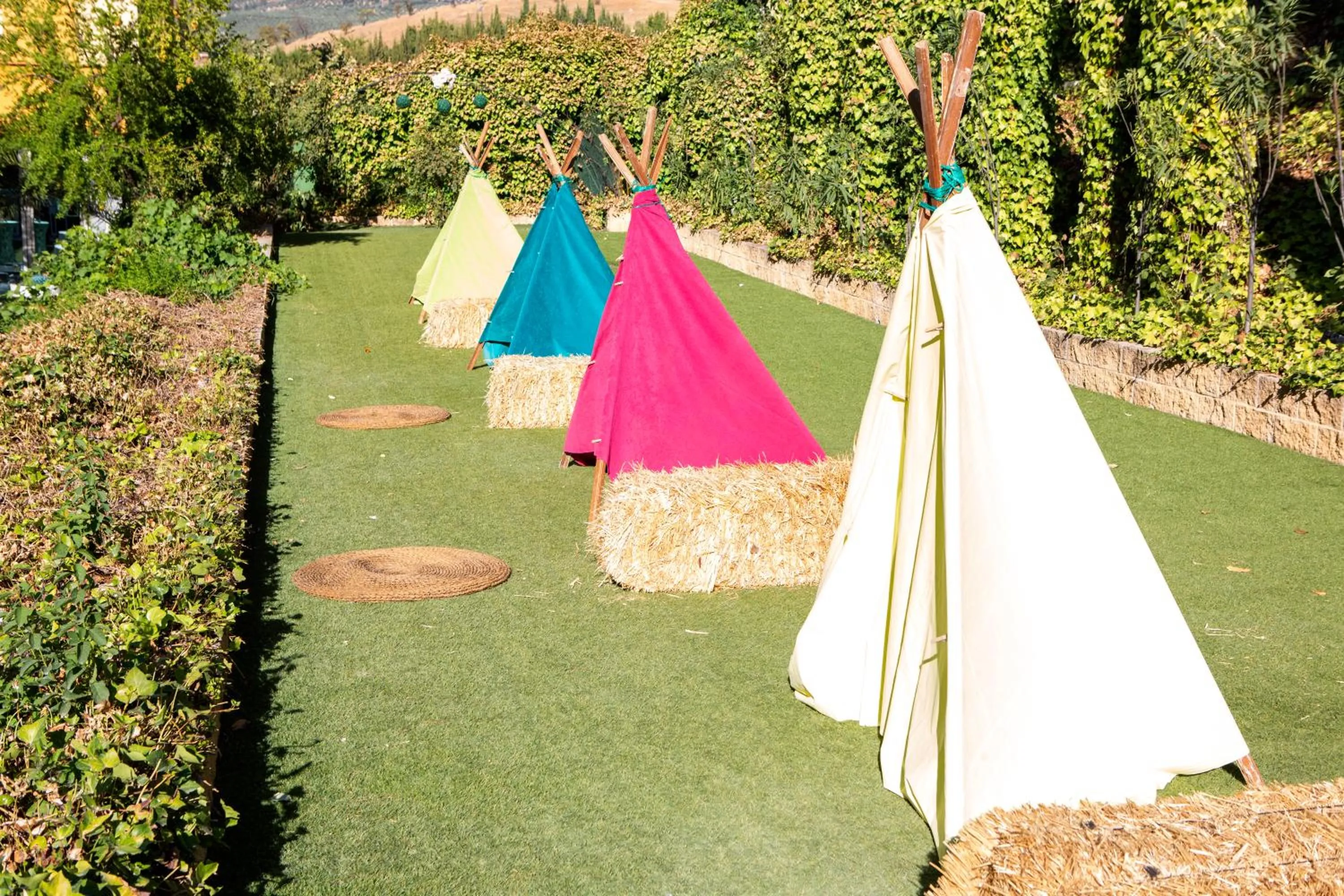 Garden in Hotel Torres I