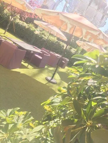 Garden in Hotel Torres I