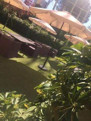 Garden in Hotel Torres I