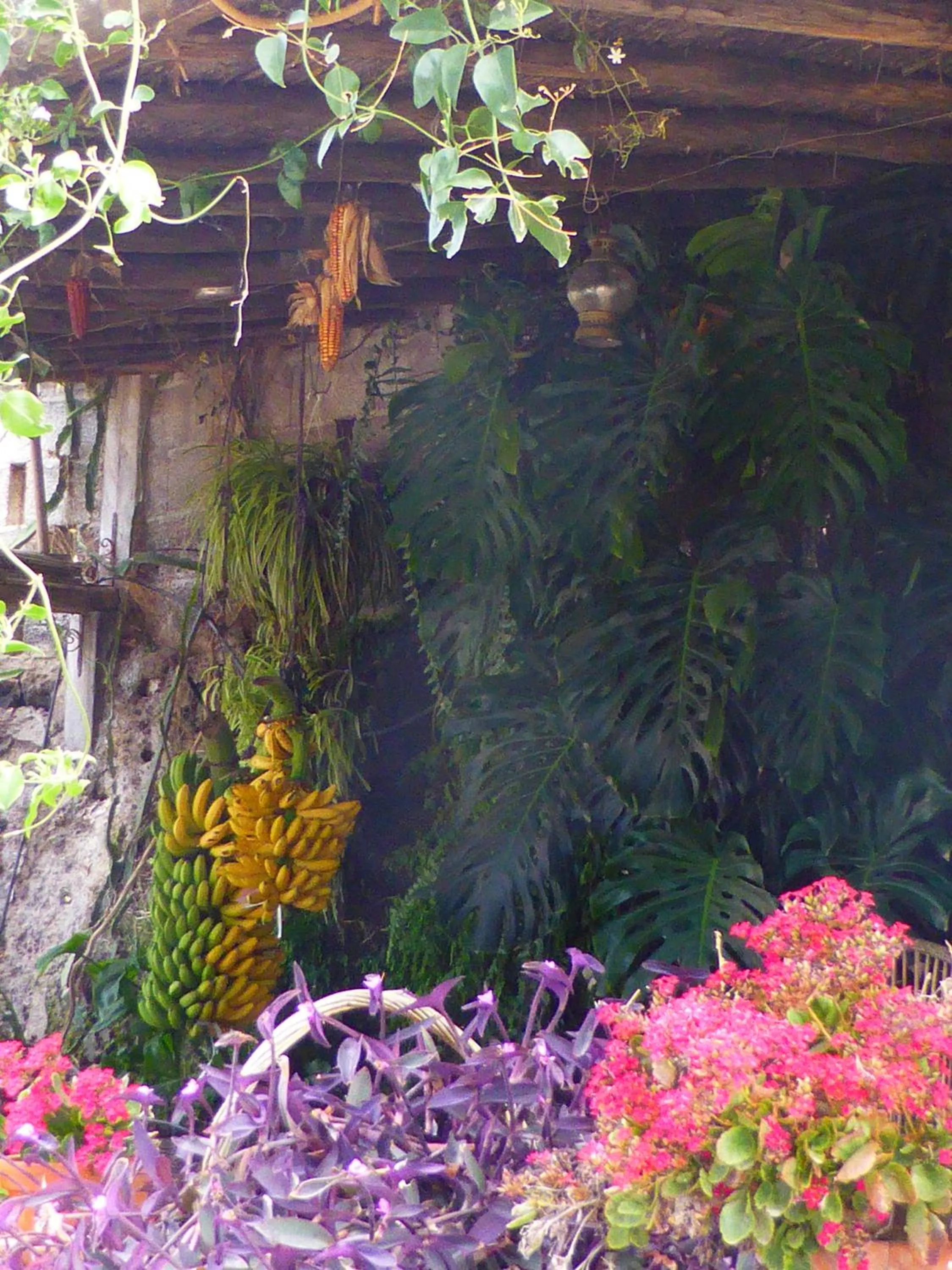 Garden in Hotel Rural El Navío - Adults Only