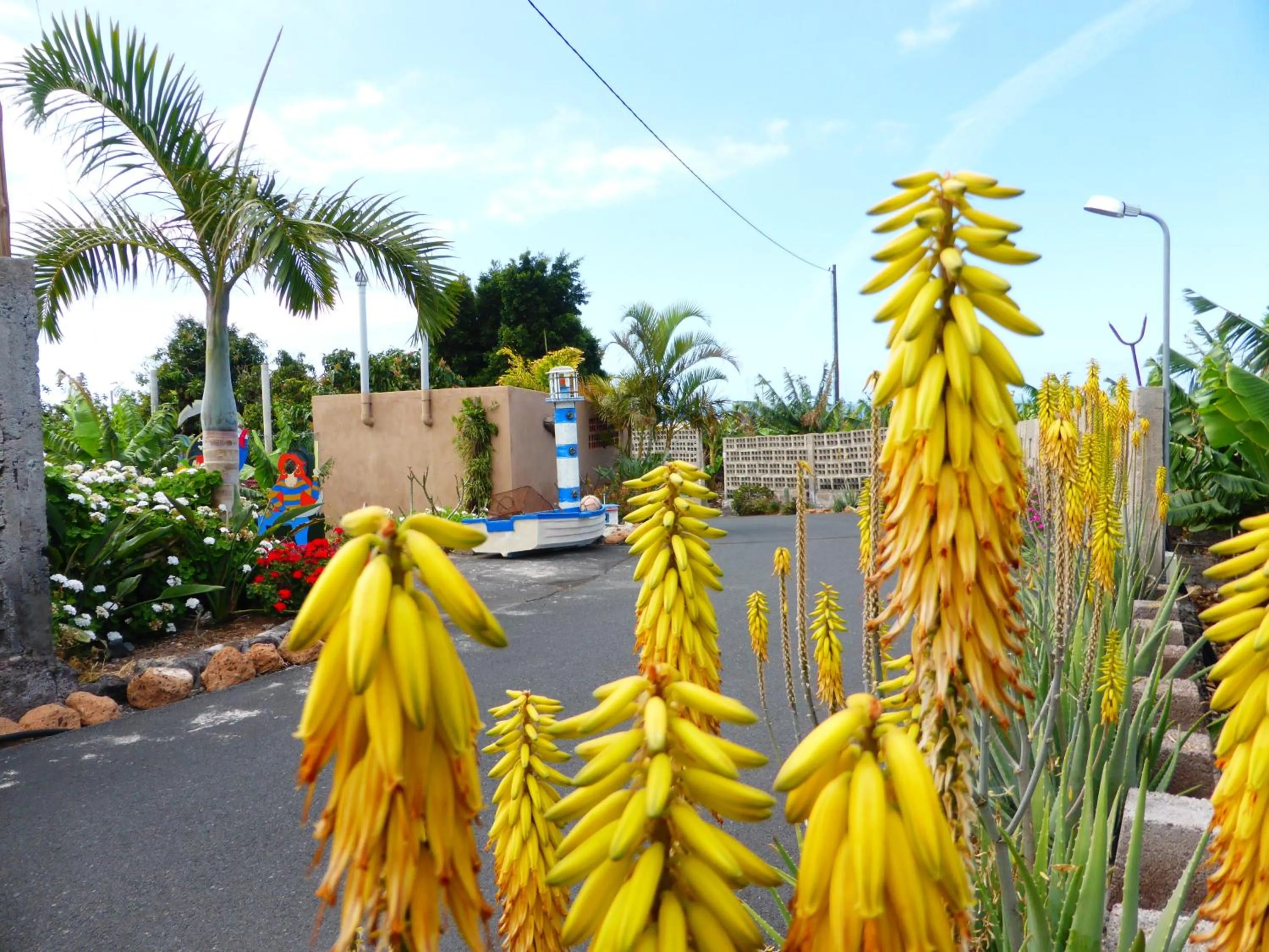Garden in Hotel Rural El Navío - Adults Only