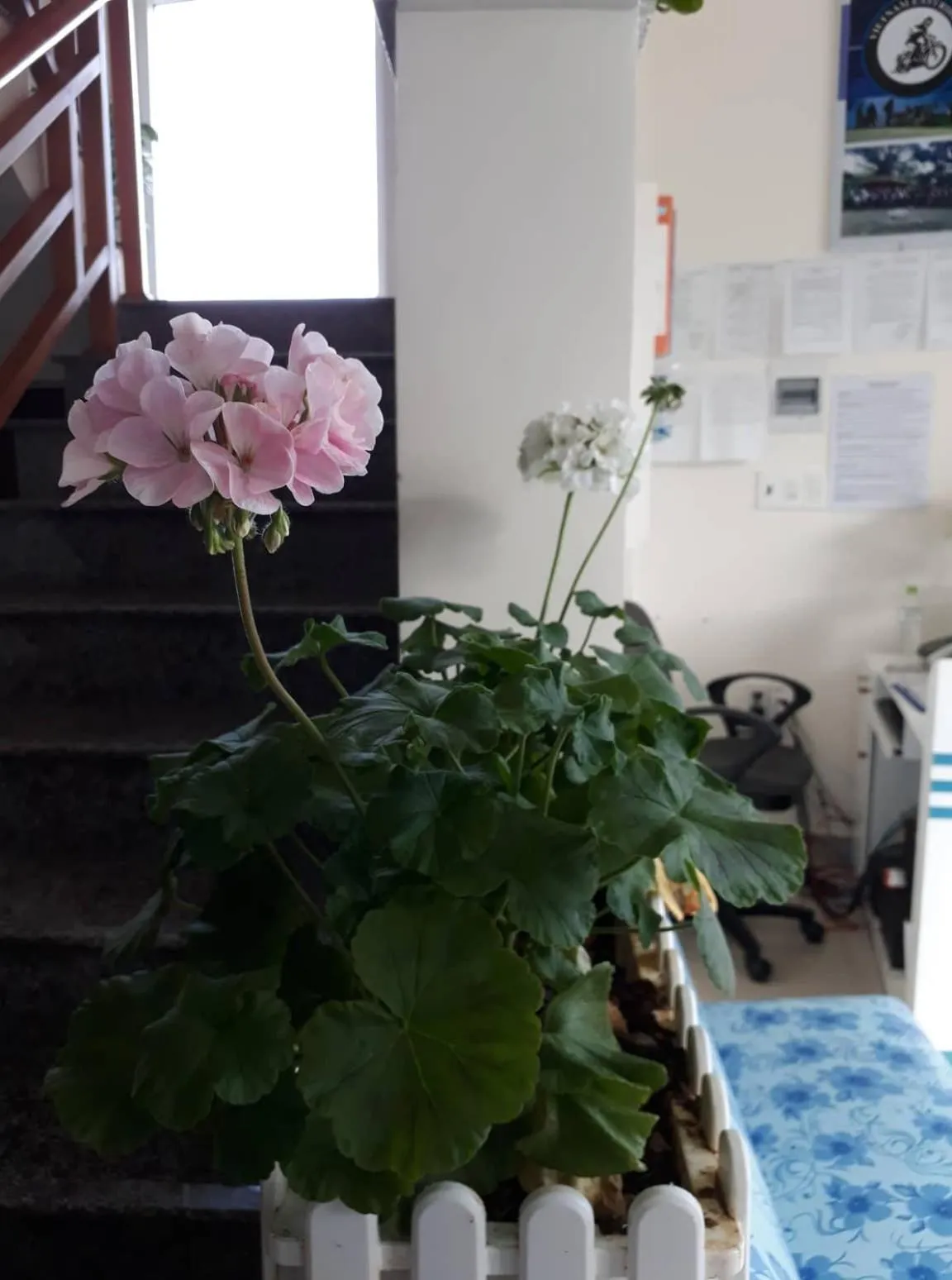 Property building in Cam Ly Homestay