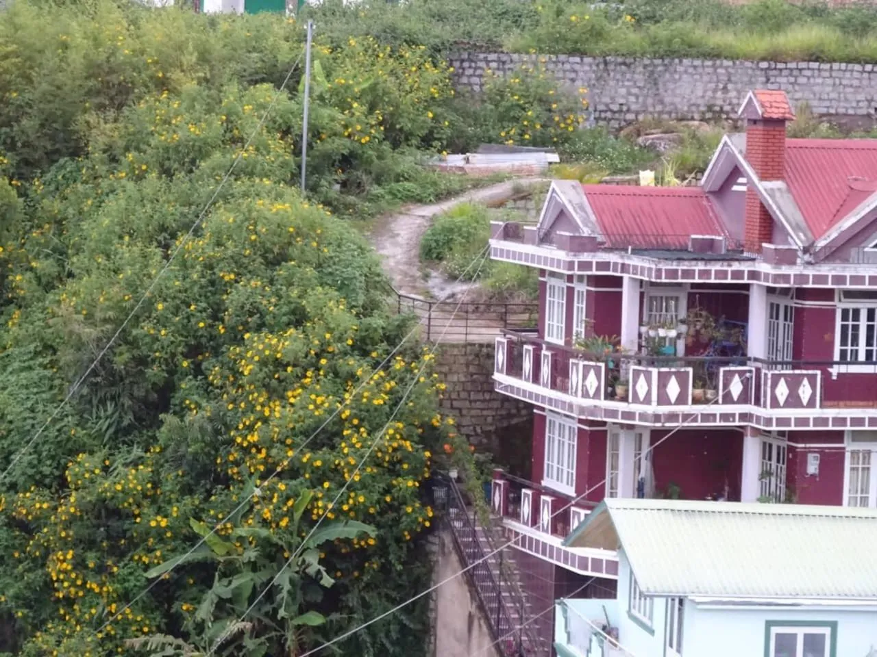 Neighbourhood in Cam Ly Homestay