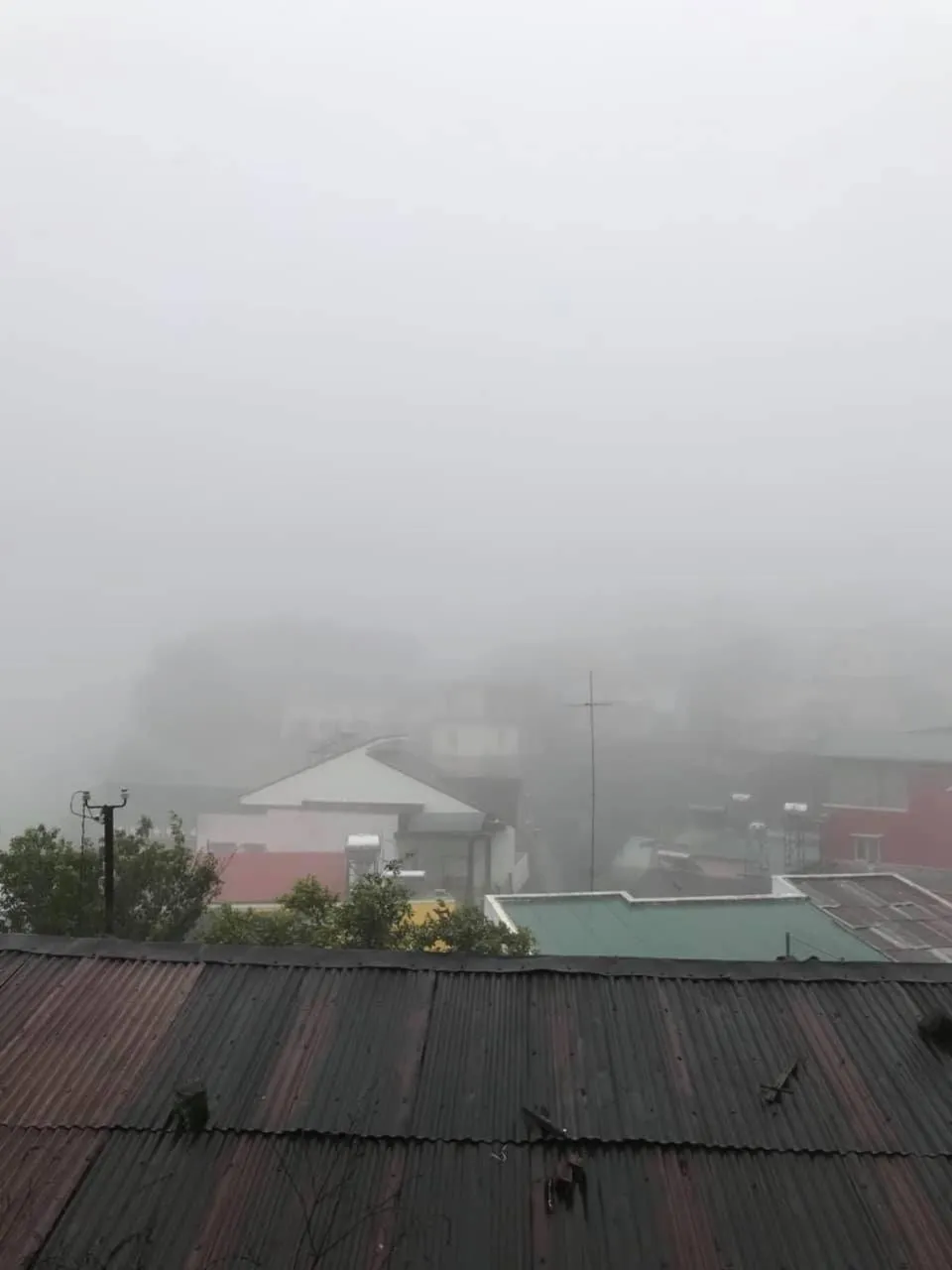 Neighbourhood in Cam Ly Homestay