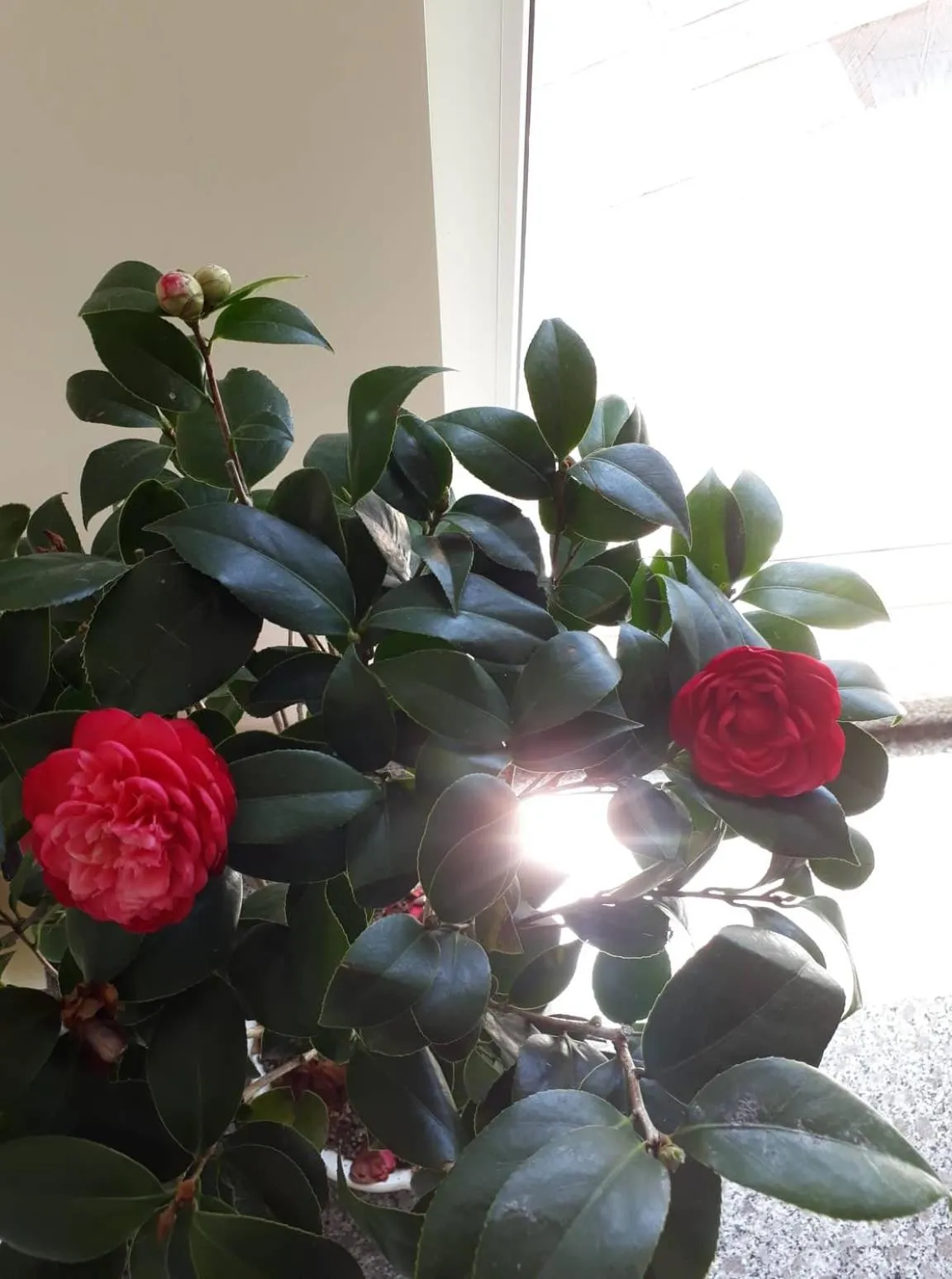 Property building in Cam Ly Homestay