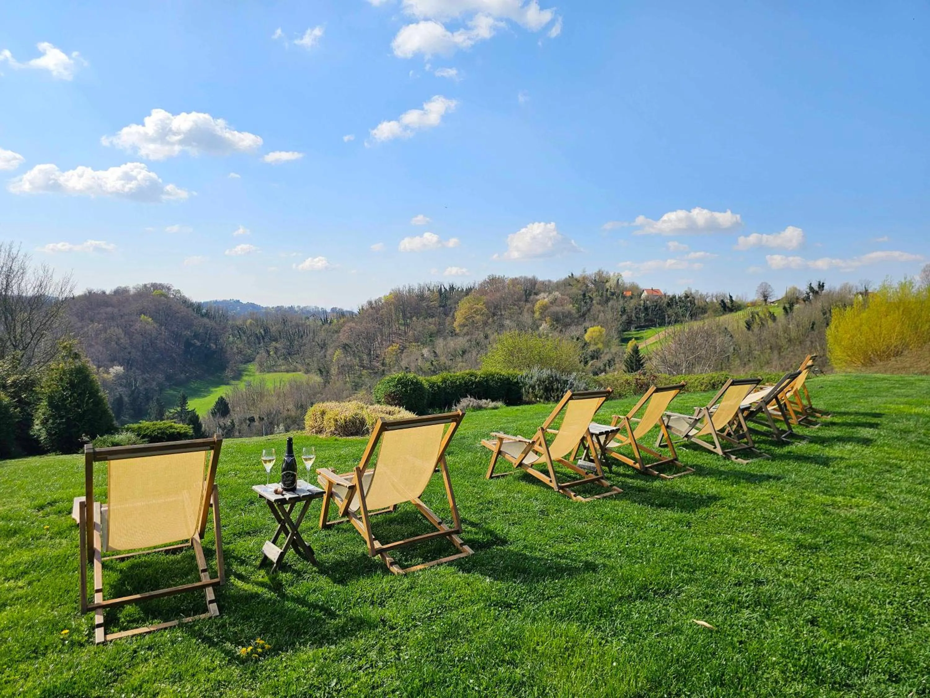 View (from property/room) in Winery, Restaurant & Pension Vuglec Breg