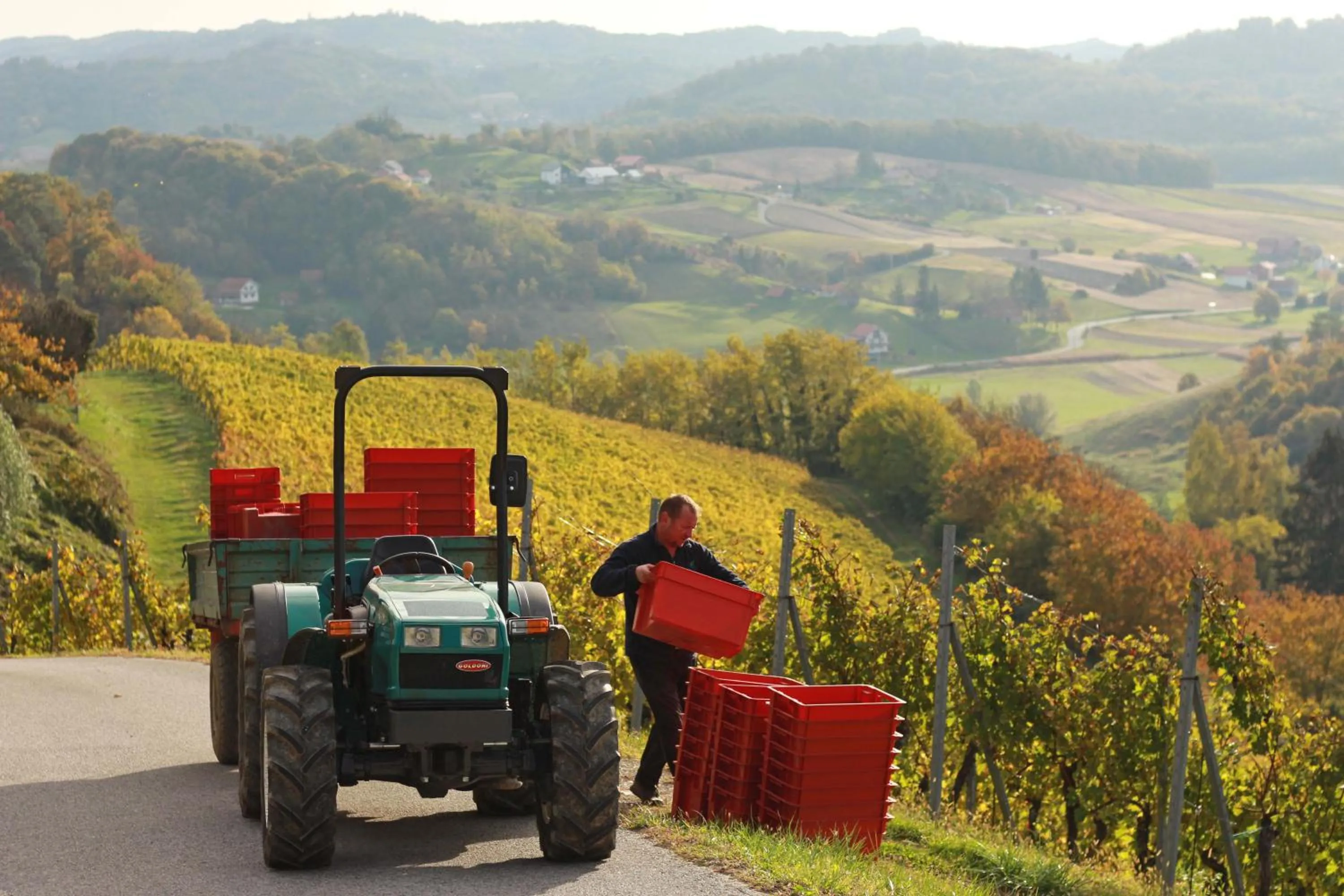 People in Winery, Restaurant & Pension Vuglec Breg