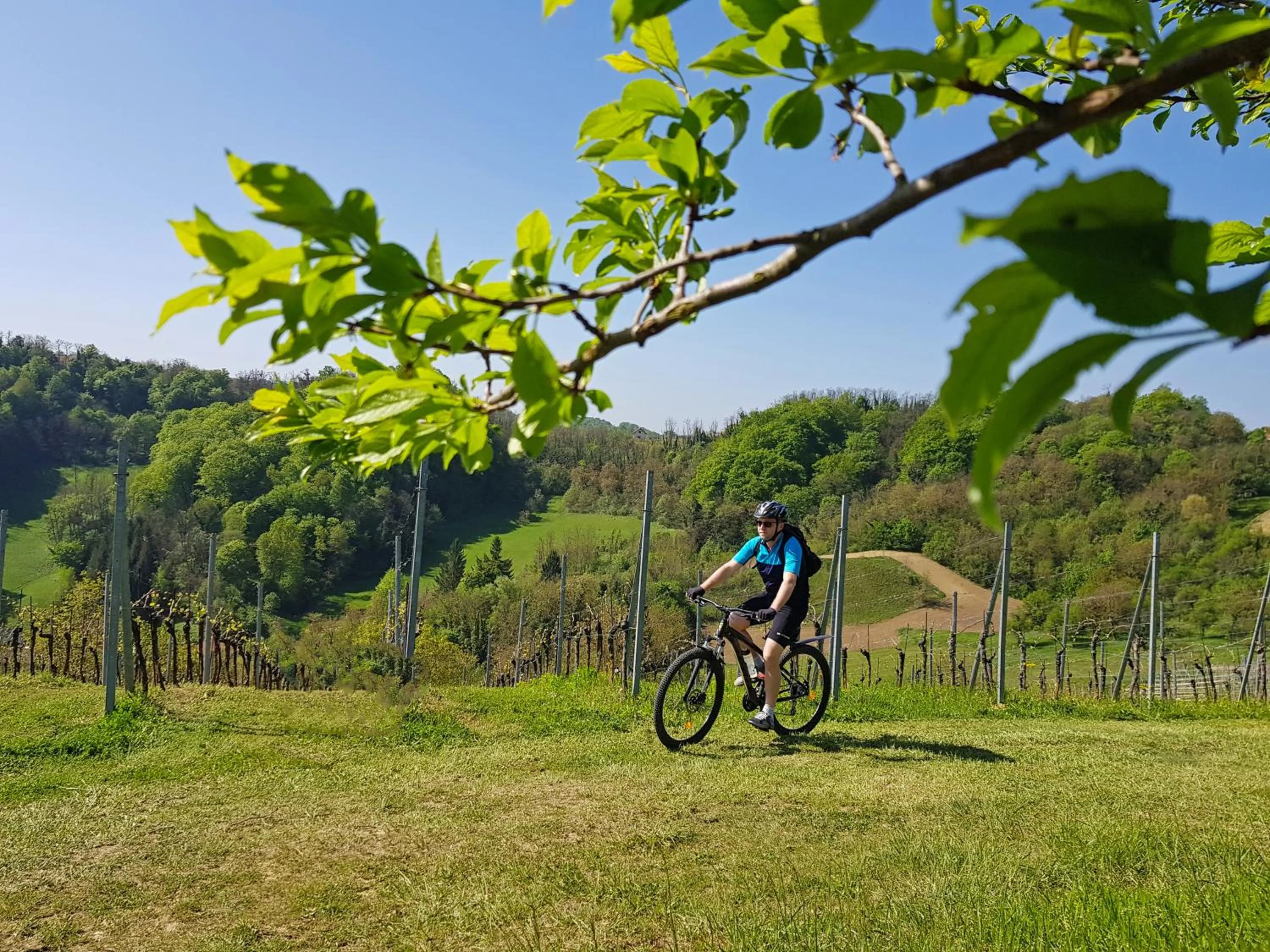 Spring in Winery, Restaurant & Pension Vuglec Breg