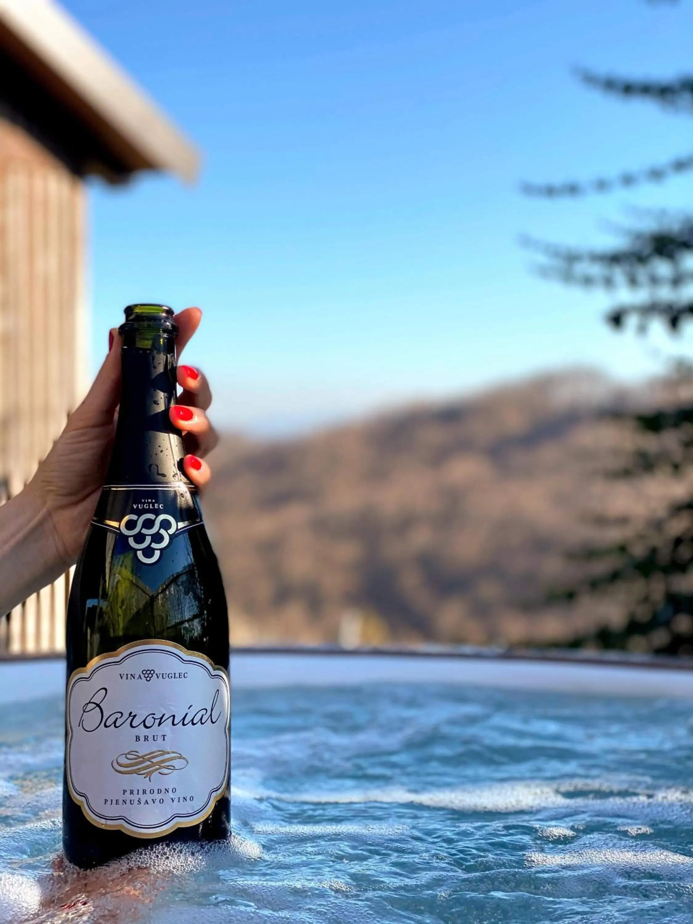 Hot Tub in Winery, Restaurant & Pension Vuglec Breg