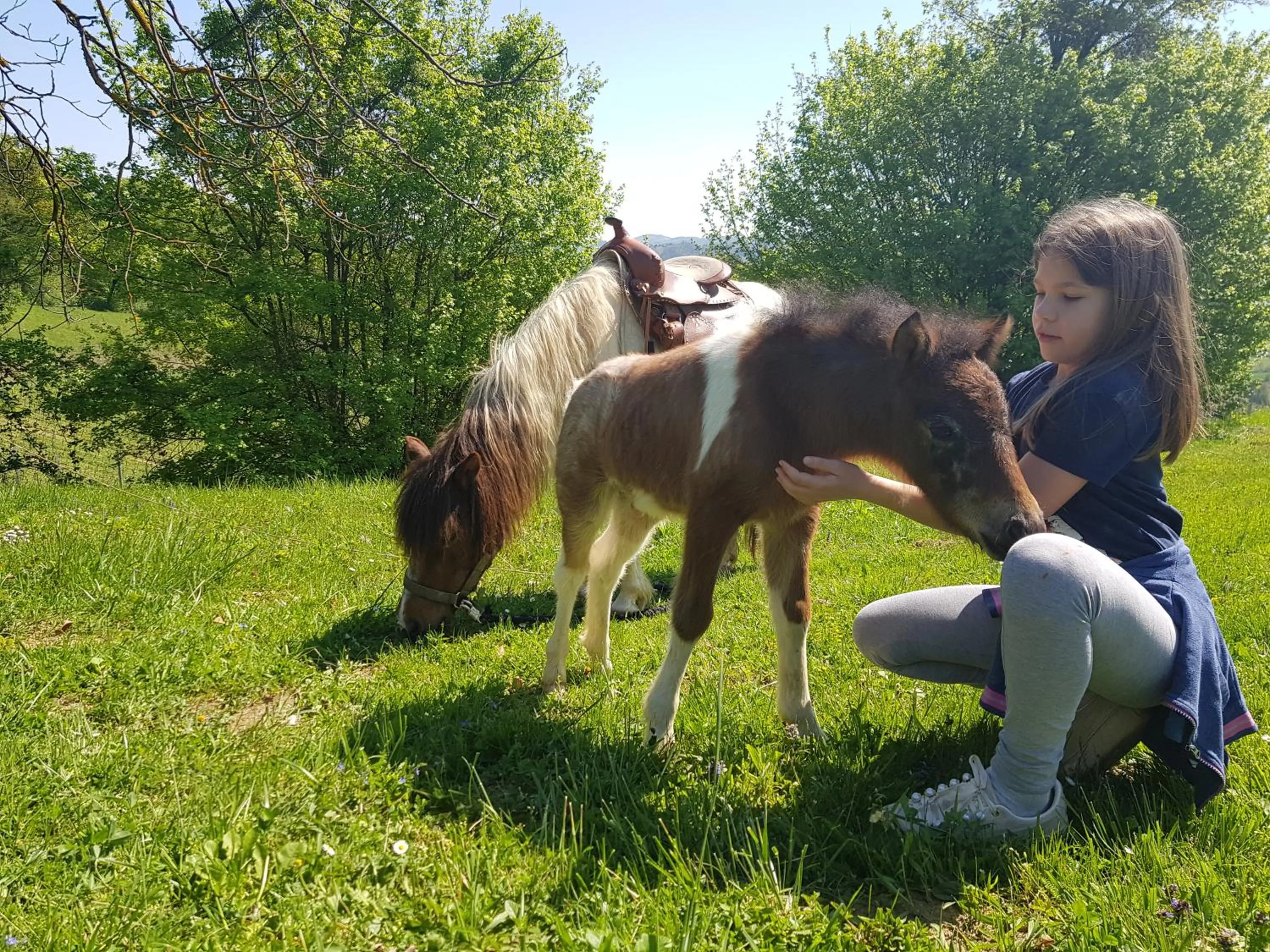 Animals in Winery, Restaurant & Pension Vuglec Breg