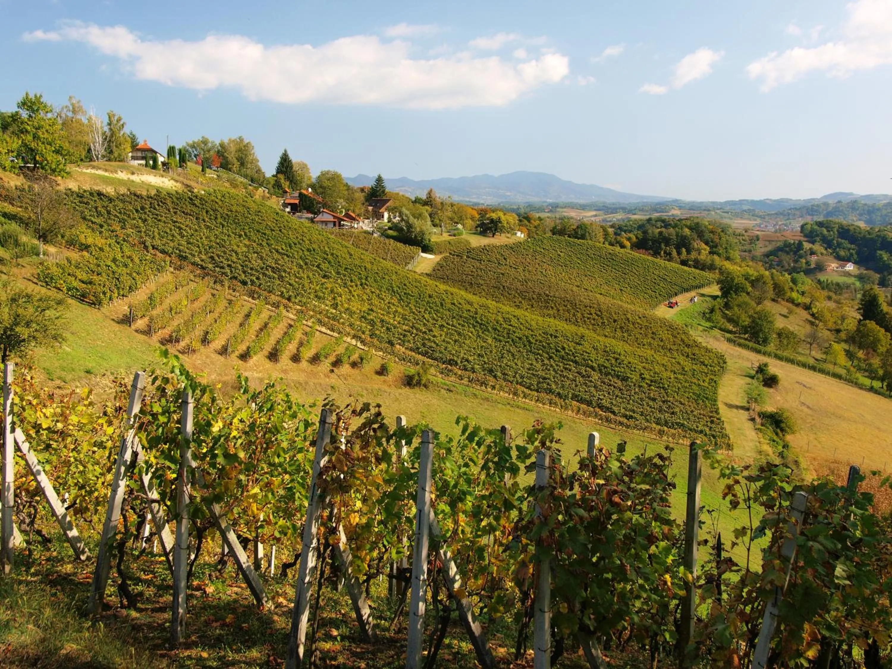 Bird's eye view in Winery, Restaurant & Pension Vuglec Breg