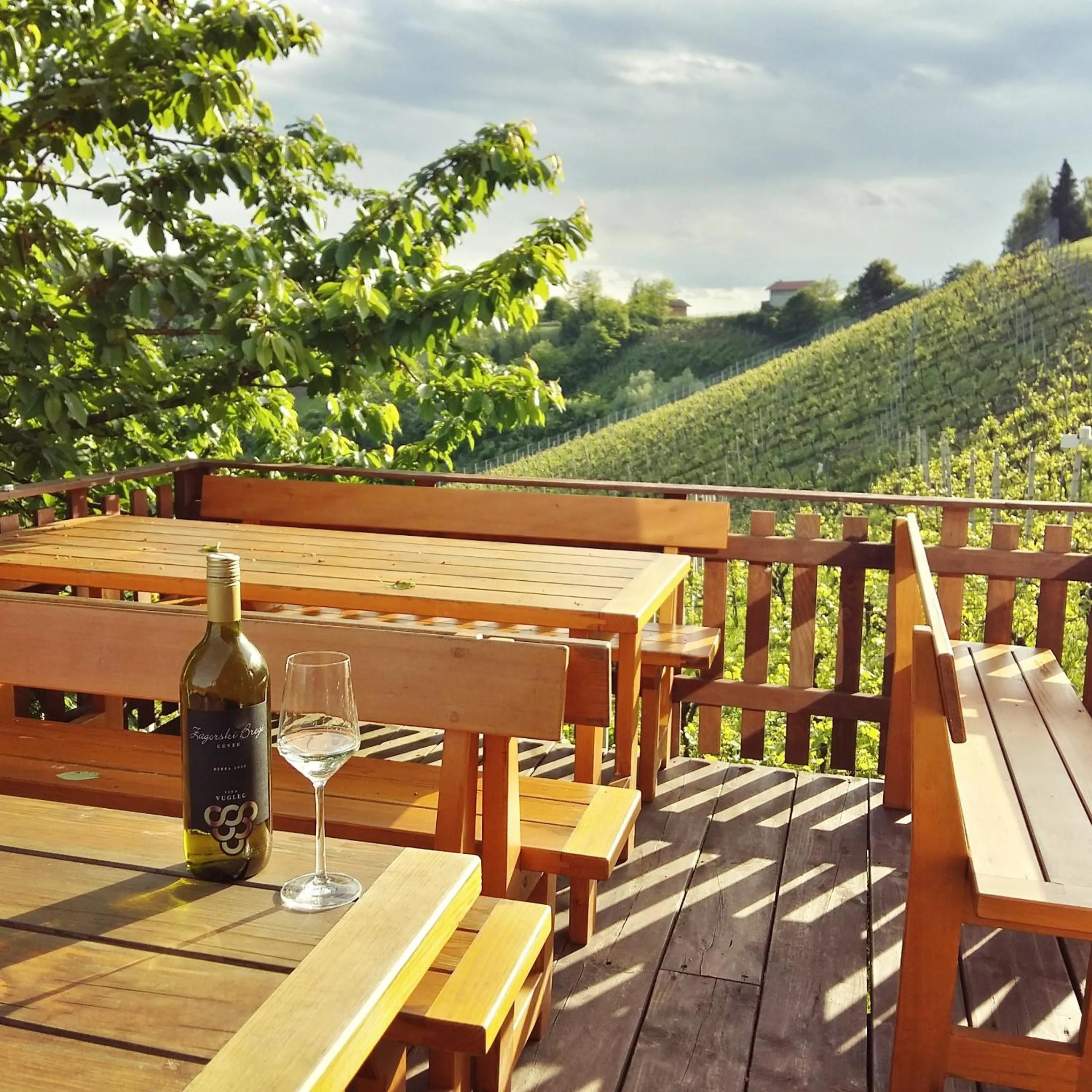 Alcoholic drinks in Winery, Restaurant & Pension Vuglec Breg