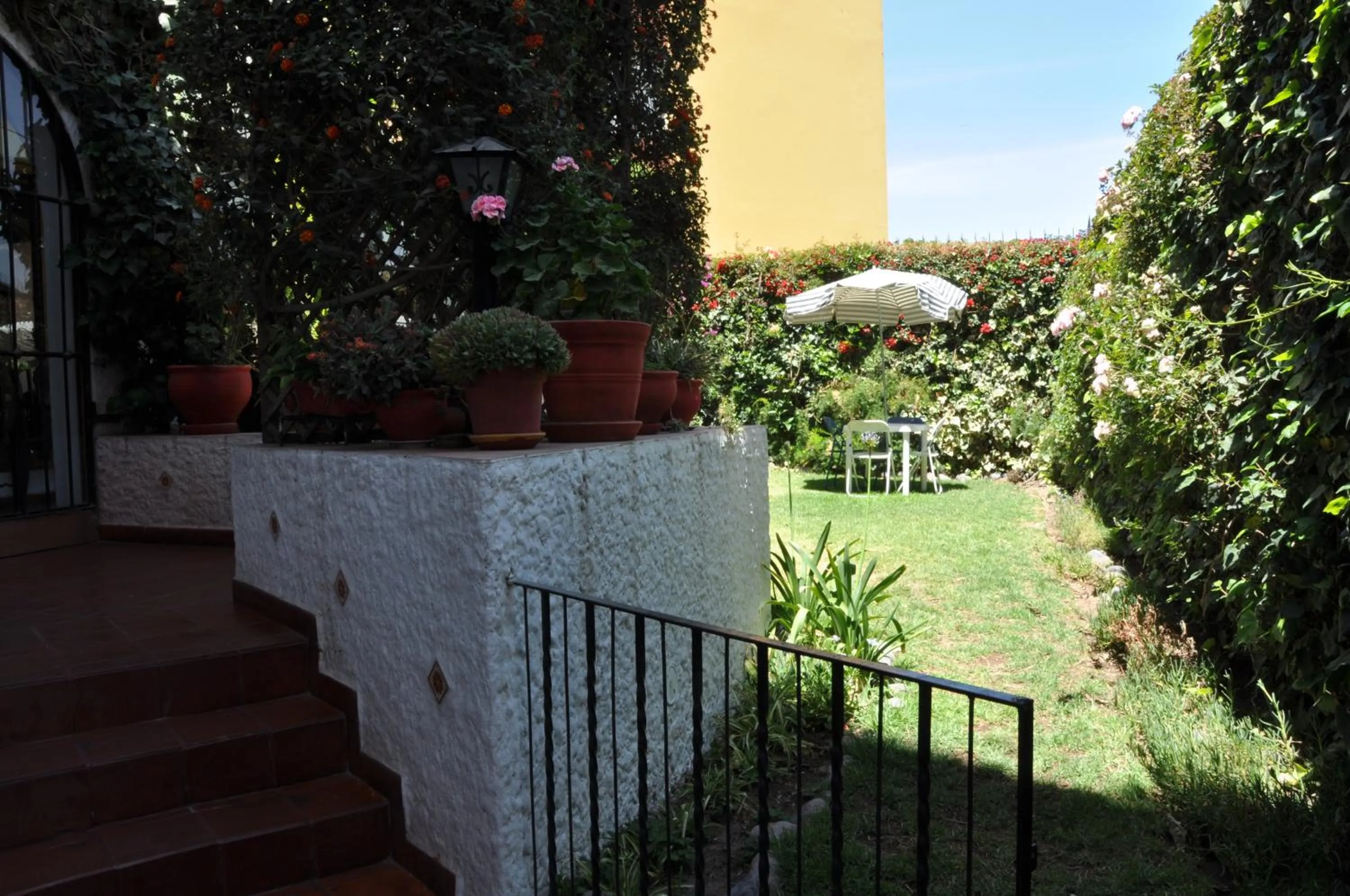 Garden in Hotel La Casa de Tin tin