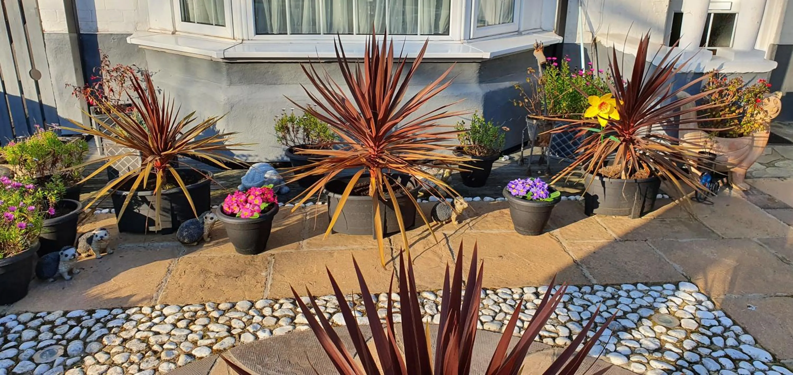 Property building in The Aldor