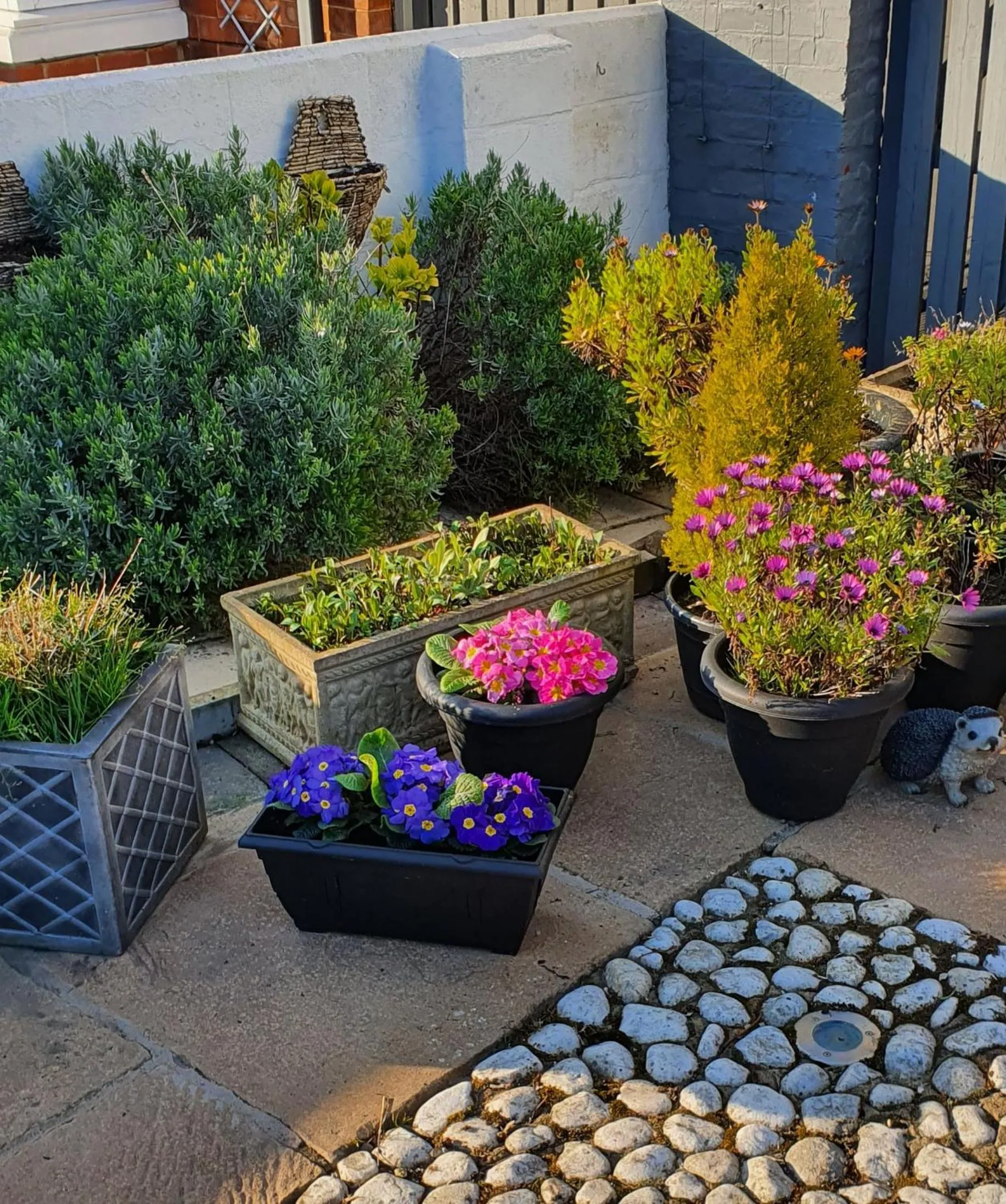 Property building in The Aldor