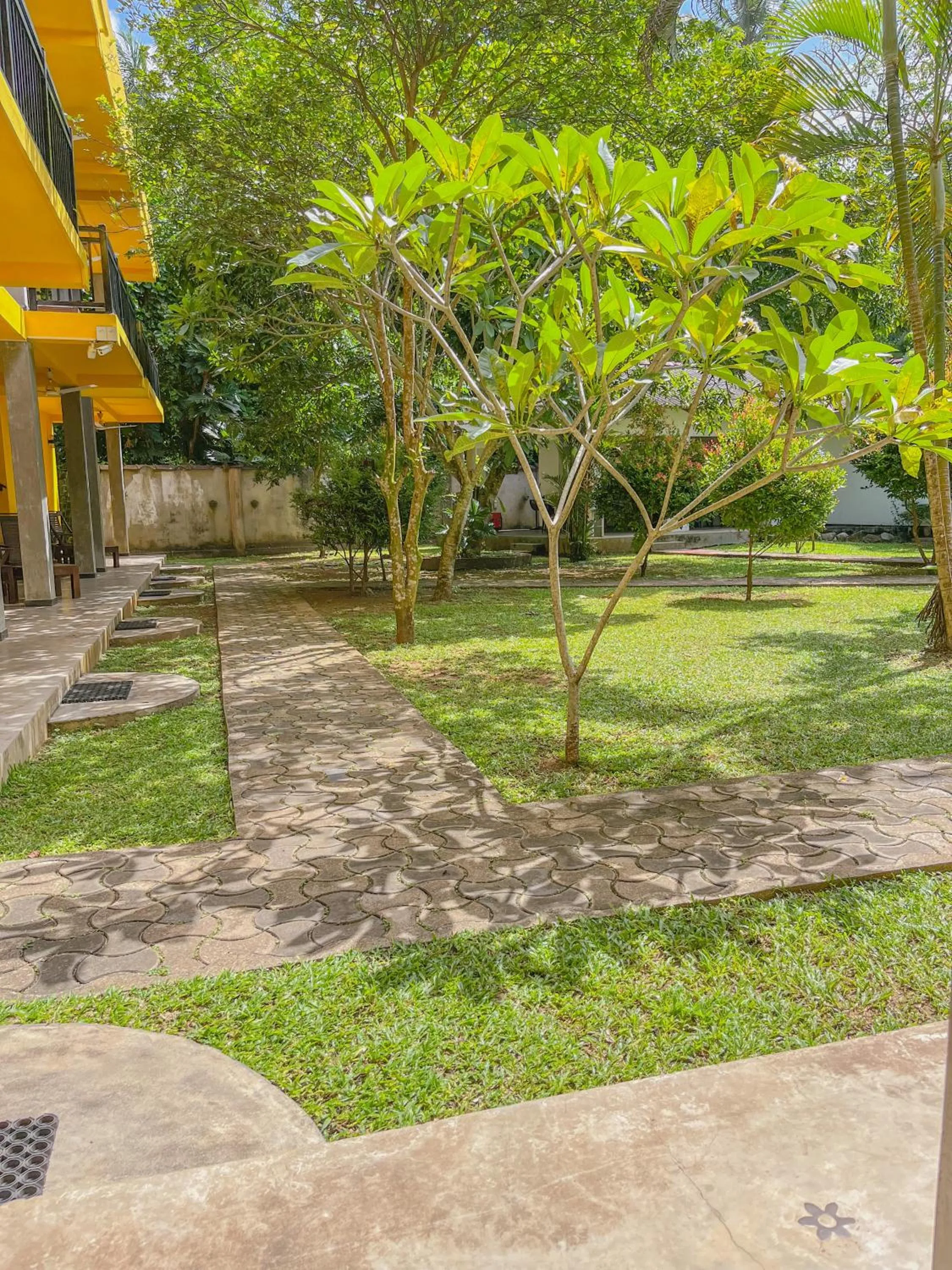 Natural landscape in Easy Living