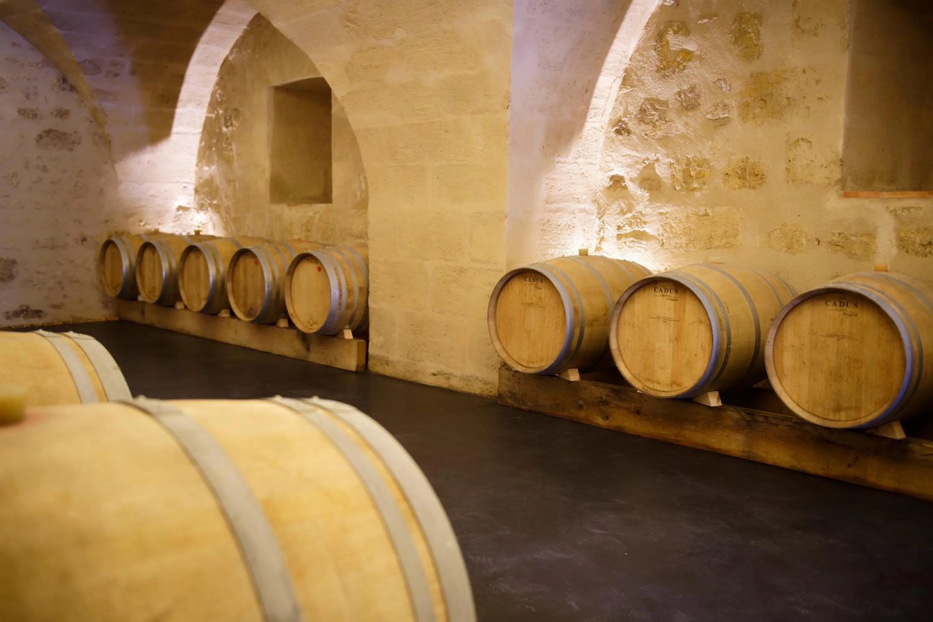 Area and facilities in Chambres d'hôtes de Château Renon